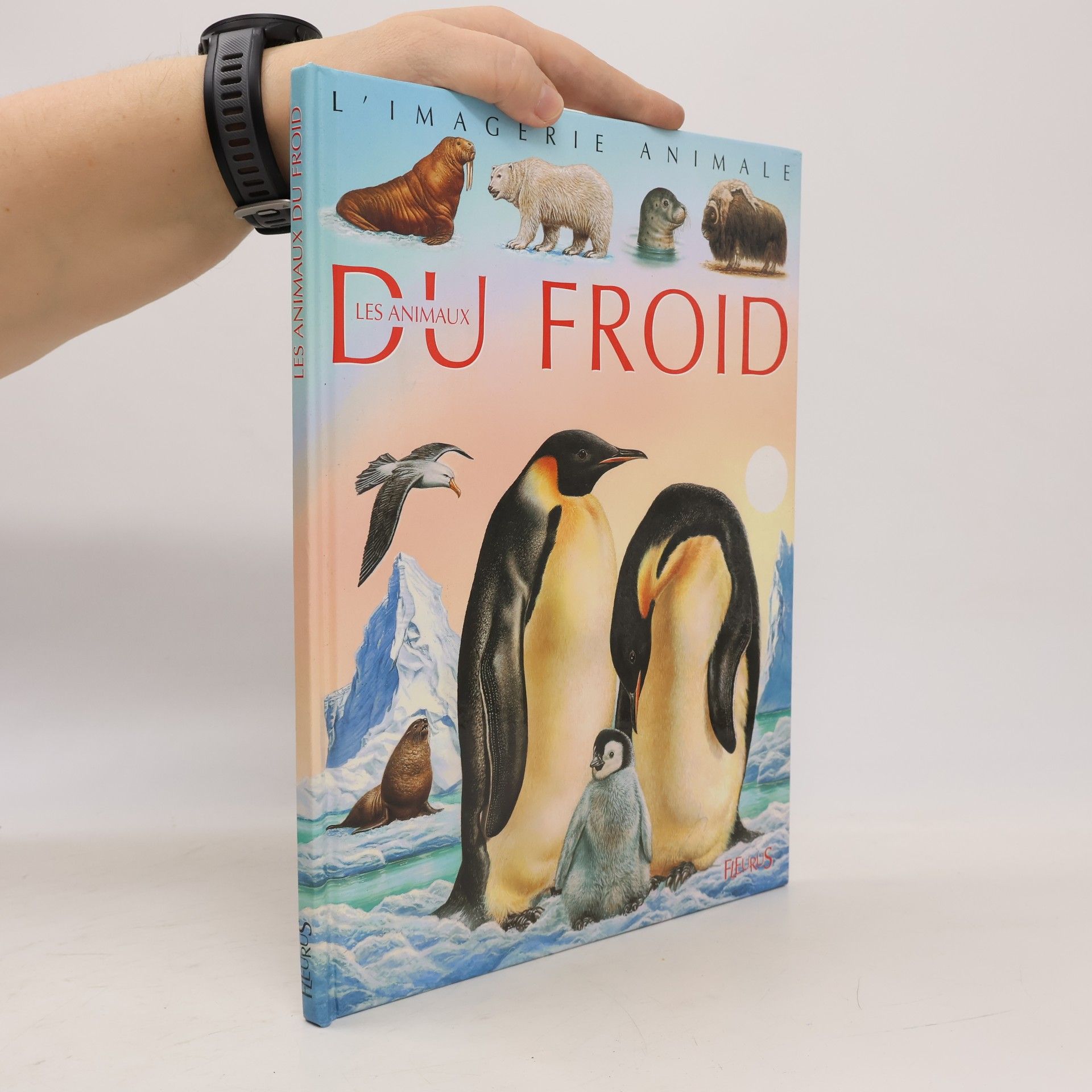 Raphaëlle Chauvelot L'imagerie animale: Les animaux du froid