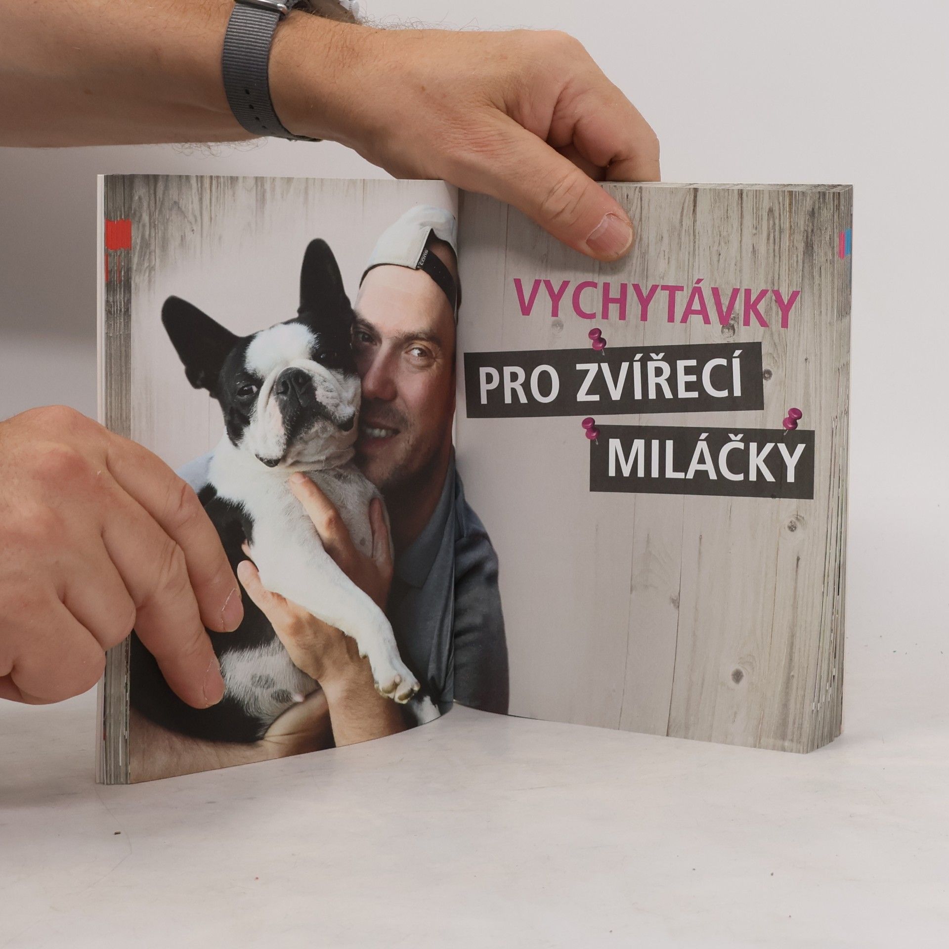 Láďa Hruška Vychytávky Ládi Hrušky