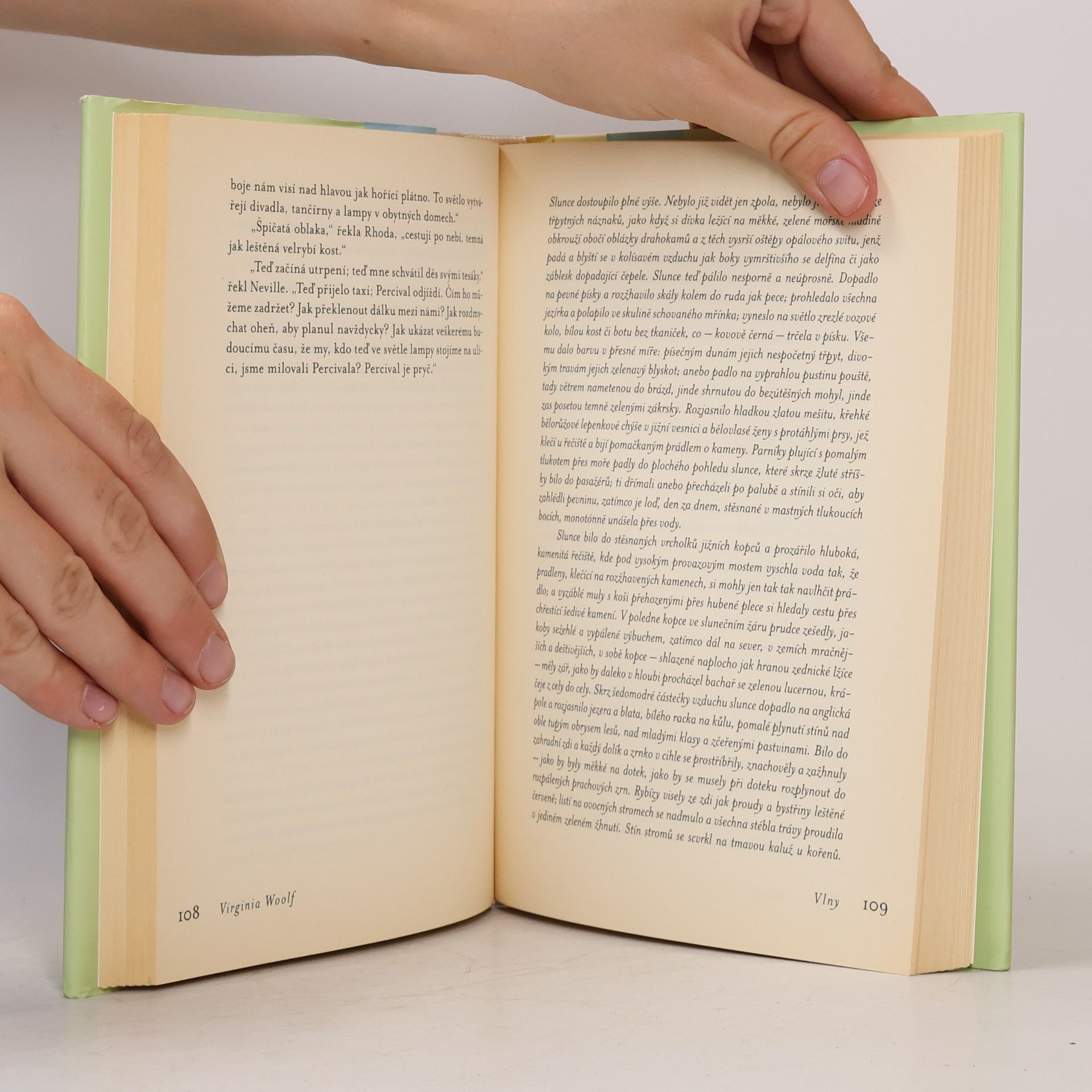 Virginia Woolf Vlny