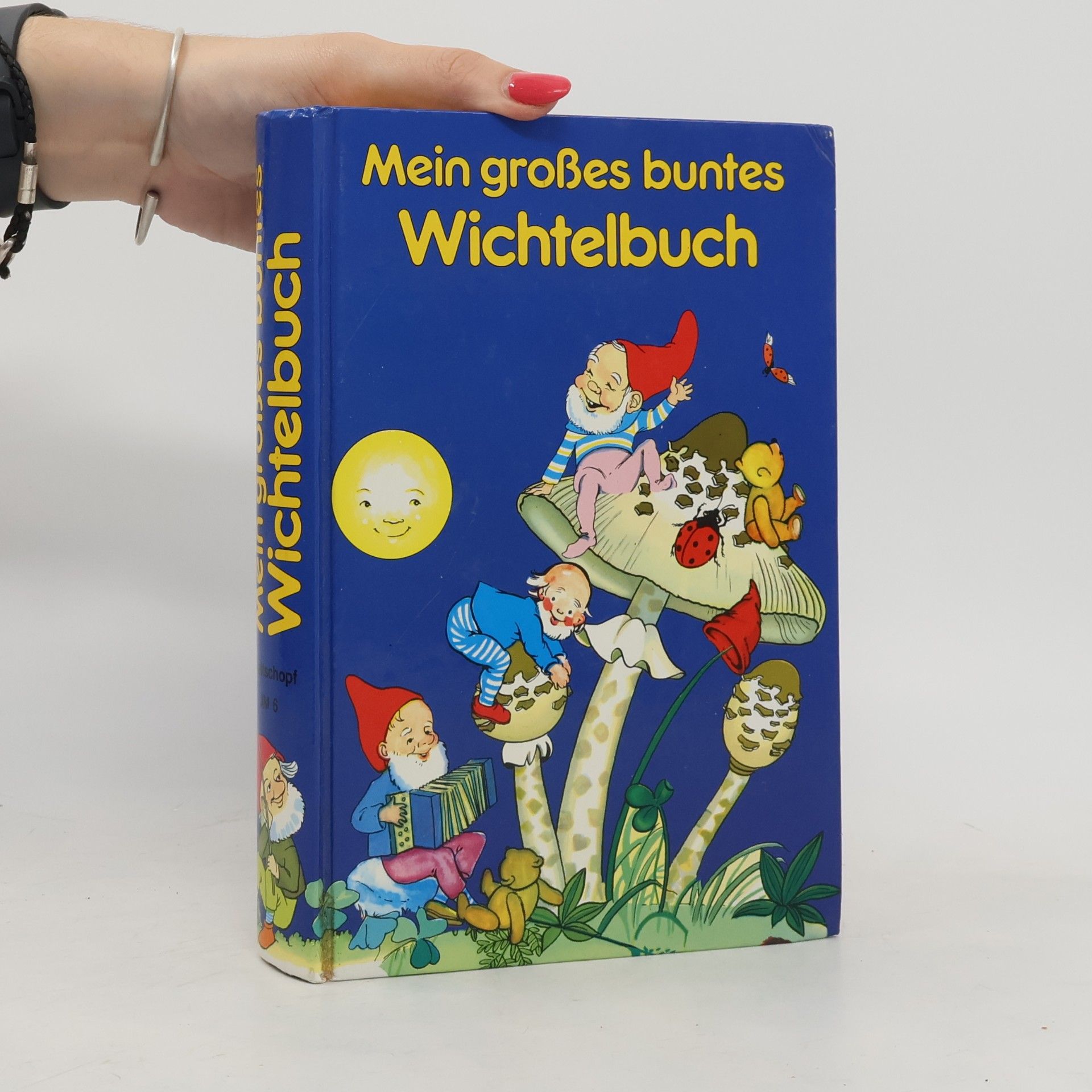Various authors Mein großes buntes Wichtelbuch