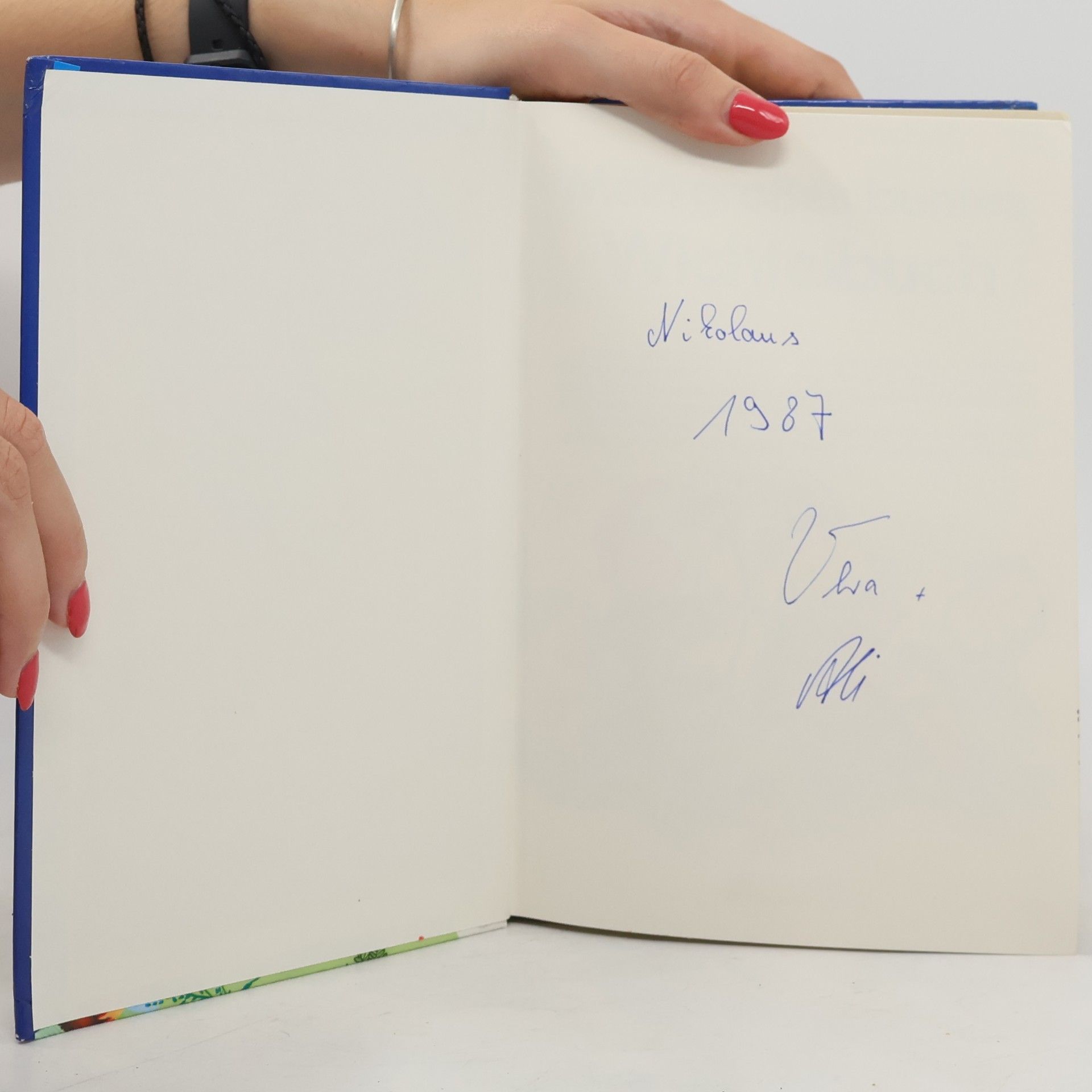 Various authors Mein großes buntes Wichtelbuch
