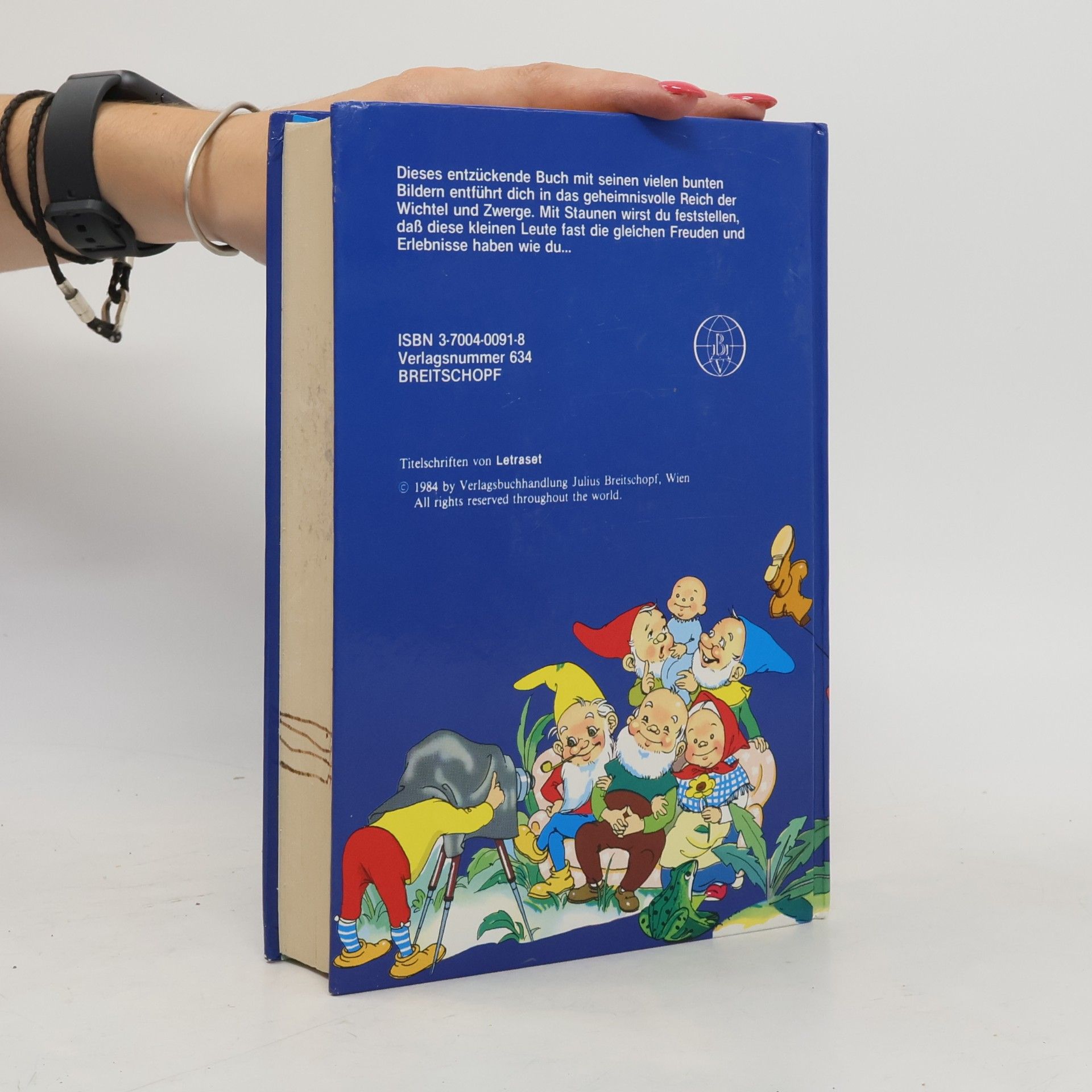 Various authors Mein großes buntes Wichtelbuch
