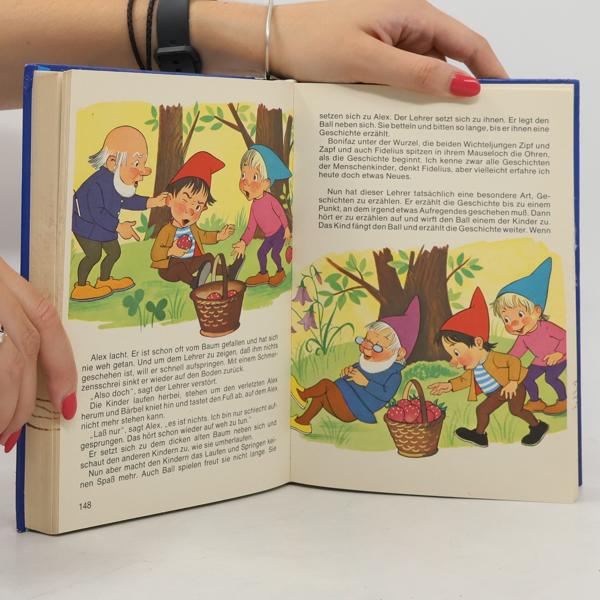 Various authors Mein großes buntes Wichtelbuch