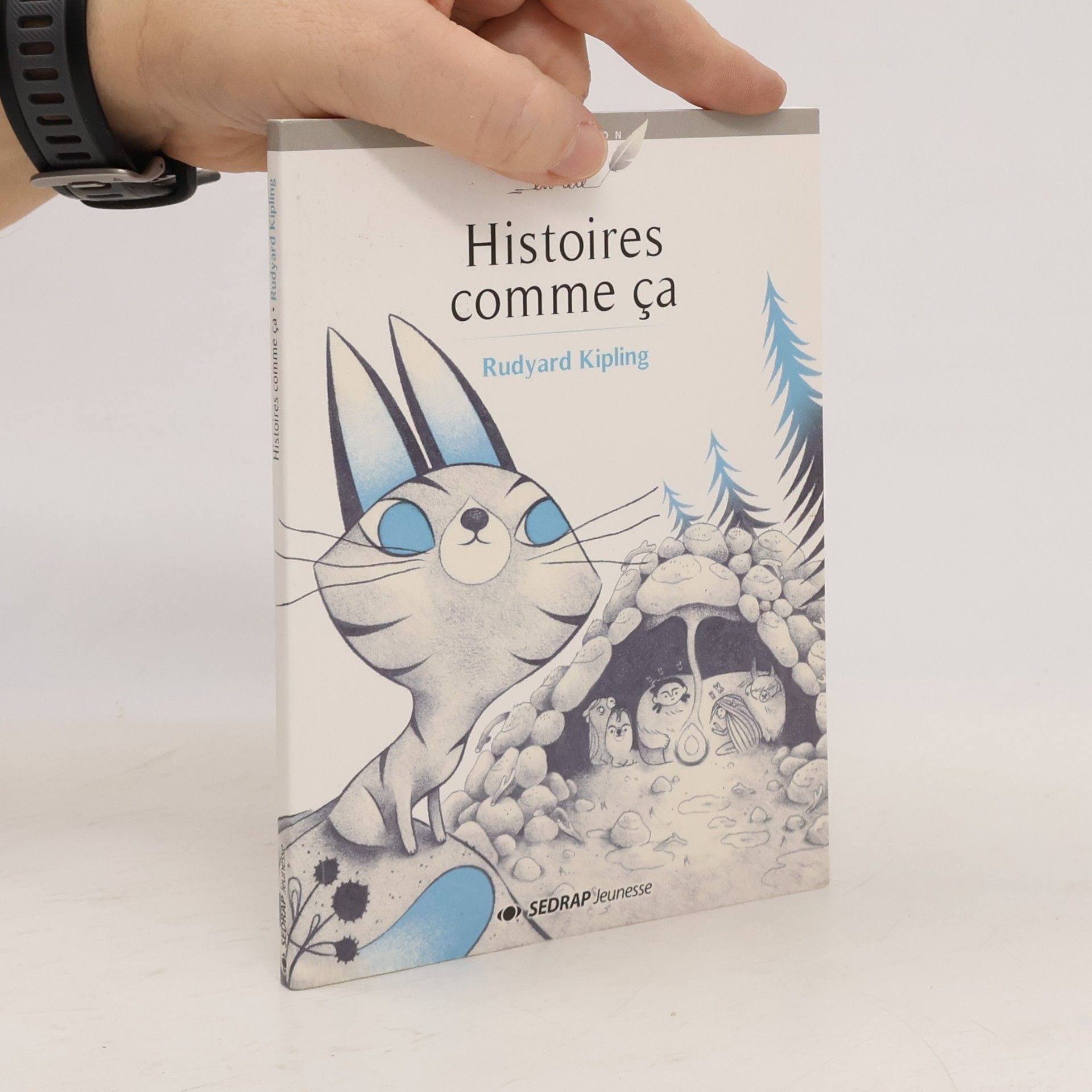 Rudyard Kipling Histoires comme ça - Roman