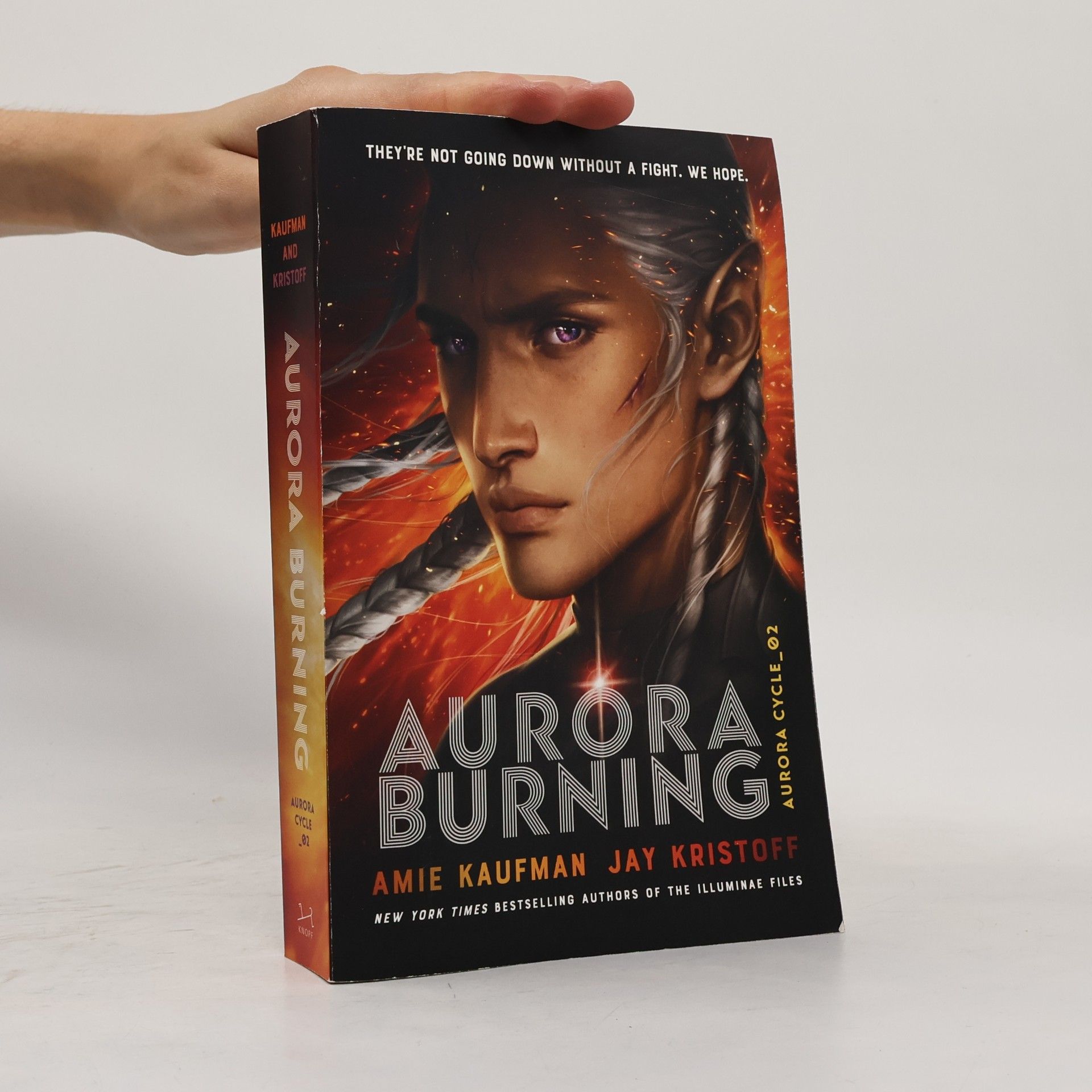 Aurora Burning