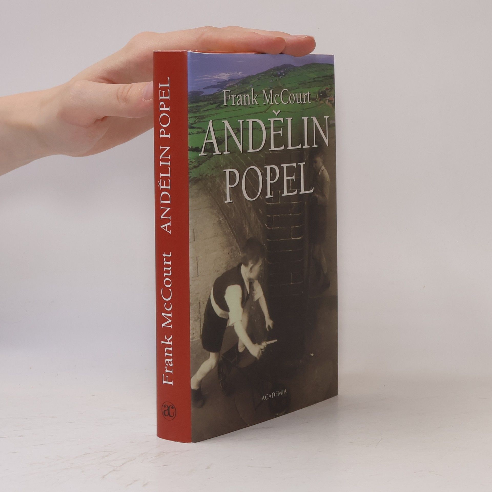 Frank McCourt Andělin popel