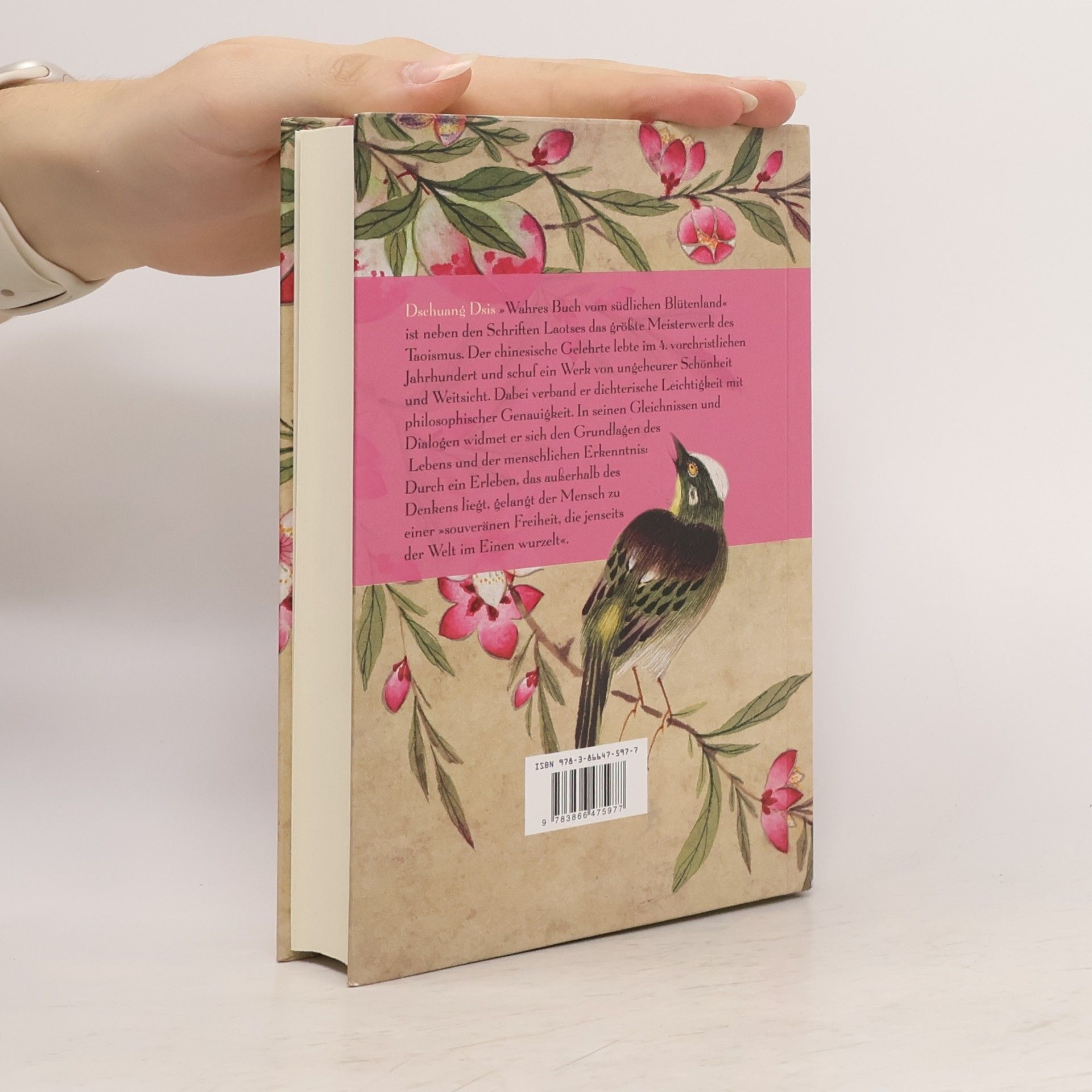 Zhuangzi Das wahre Buch vom südlichen Blütenland