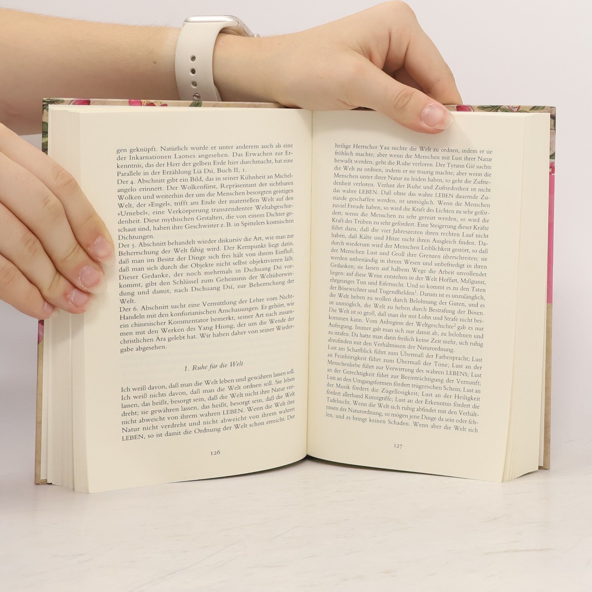 Zhuangzi Das wahre Buch vom südlichen Blütenland