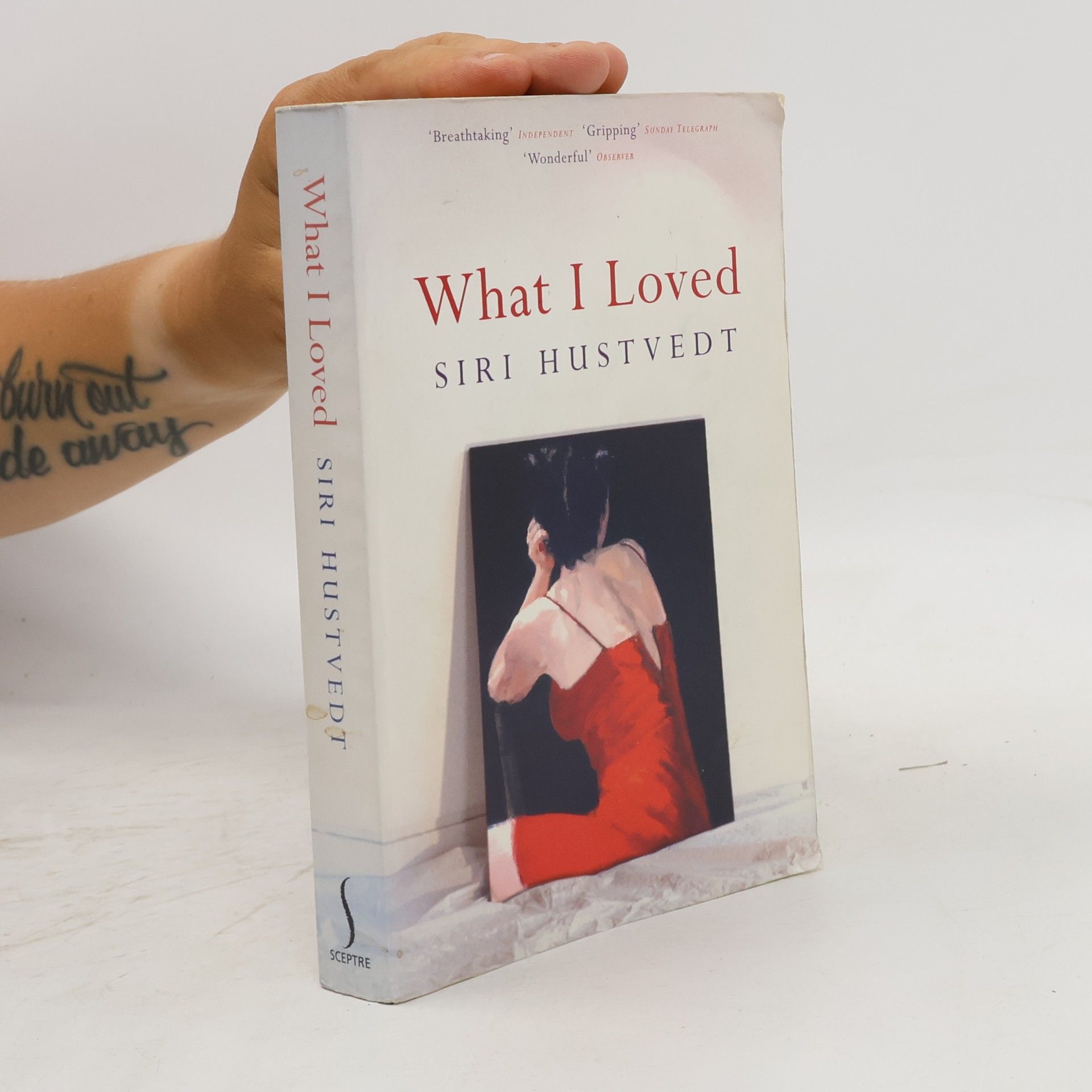 Siri Hustvedt What I Loved