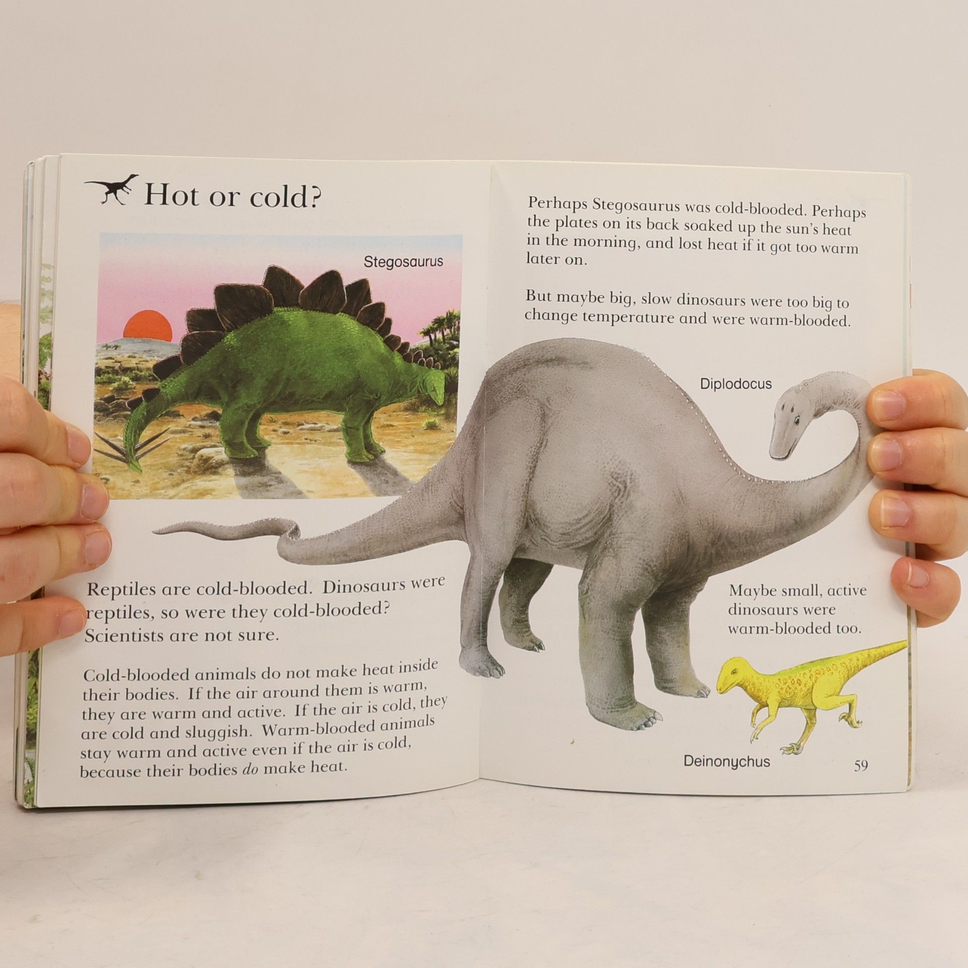 Michael J. Benton My First Encyclopedia - 8: Dinosaurs