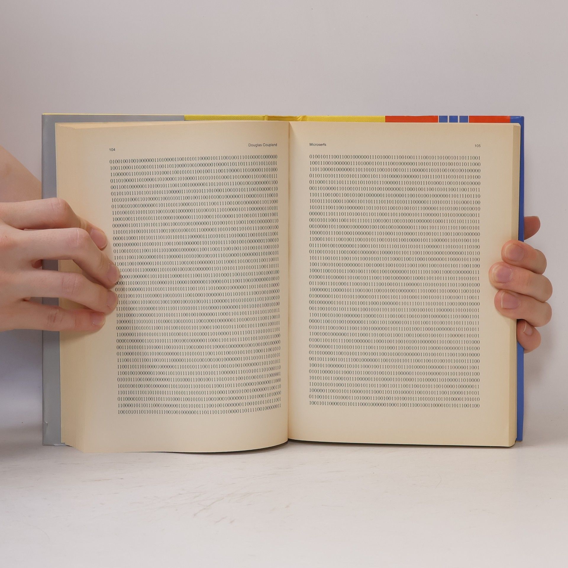 Douglas Coupland Microserfs