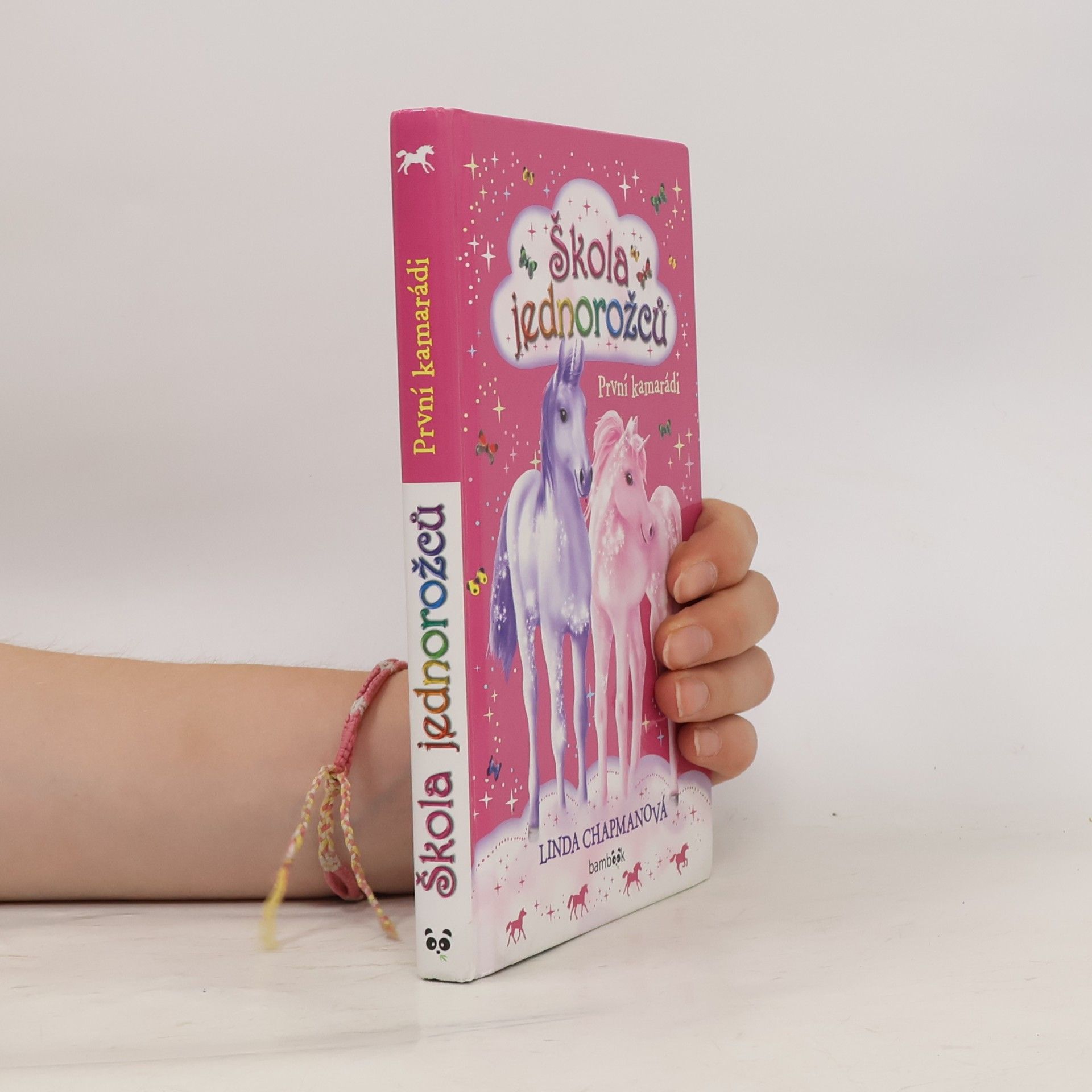 Linda Champan Škola jednorožců - První kamarádi