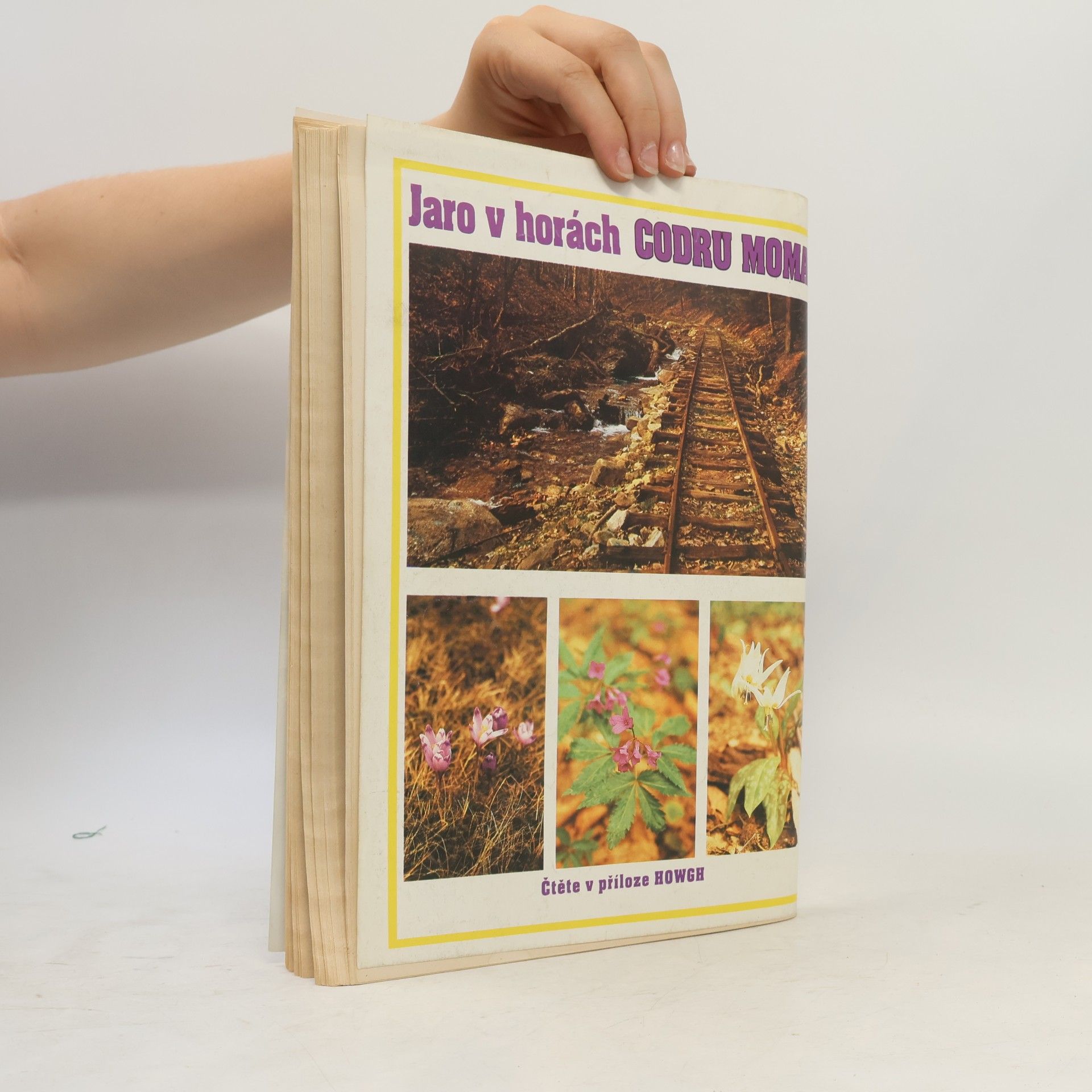 S. Cone Rodokaps 16/1993. Království divokého muže