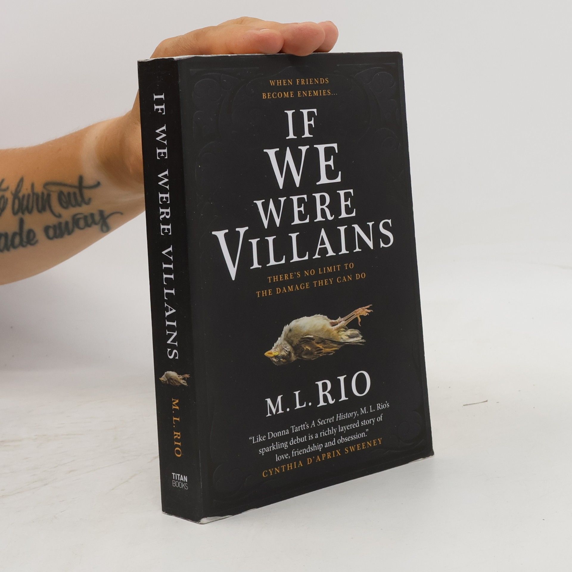 M. L. Rio If We Were Villains