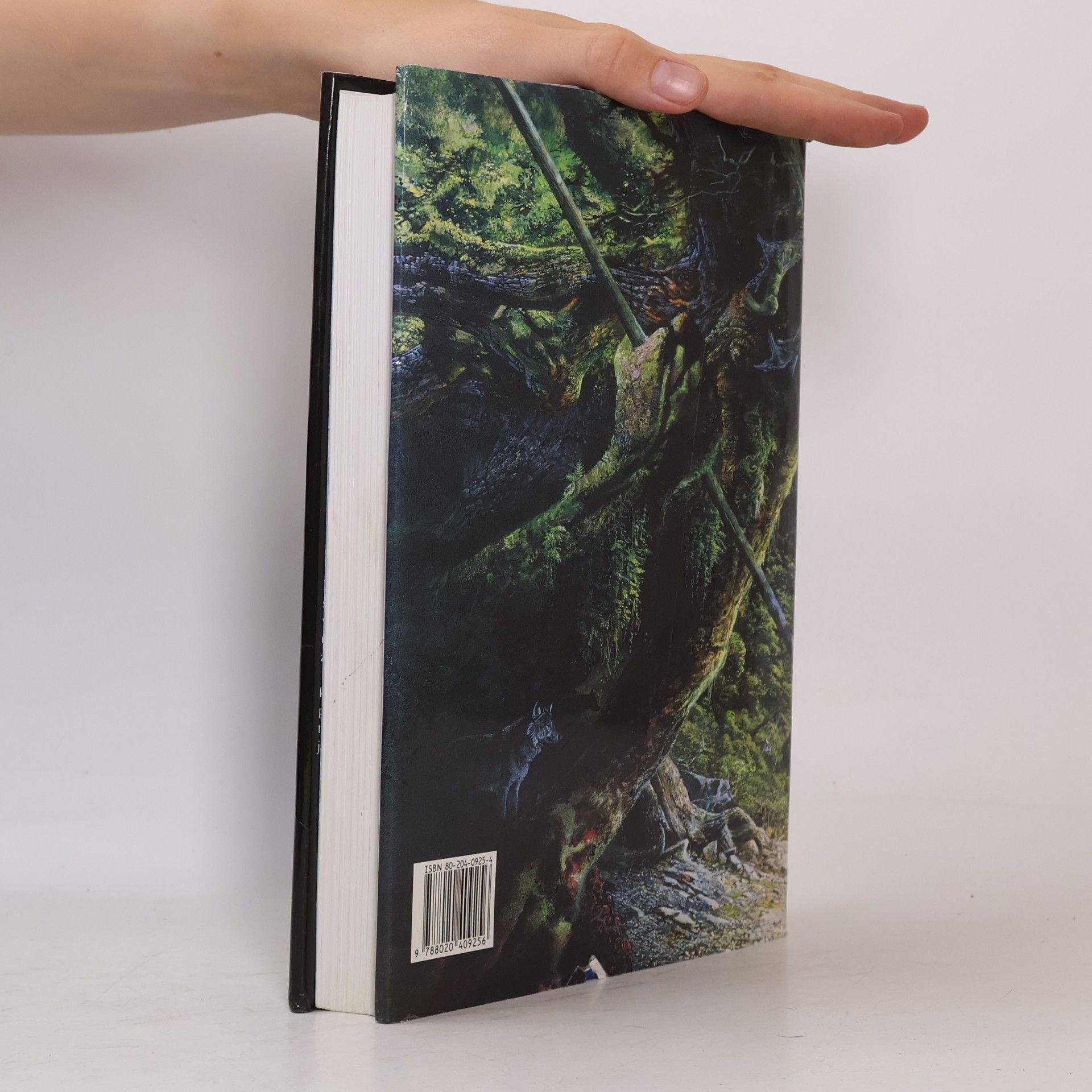 J. R. R. Tolkien Pán prstenů. Společenstvo Prstenu