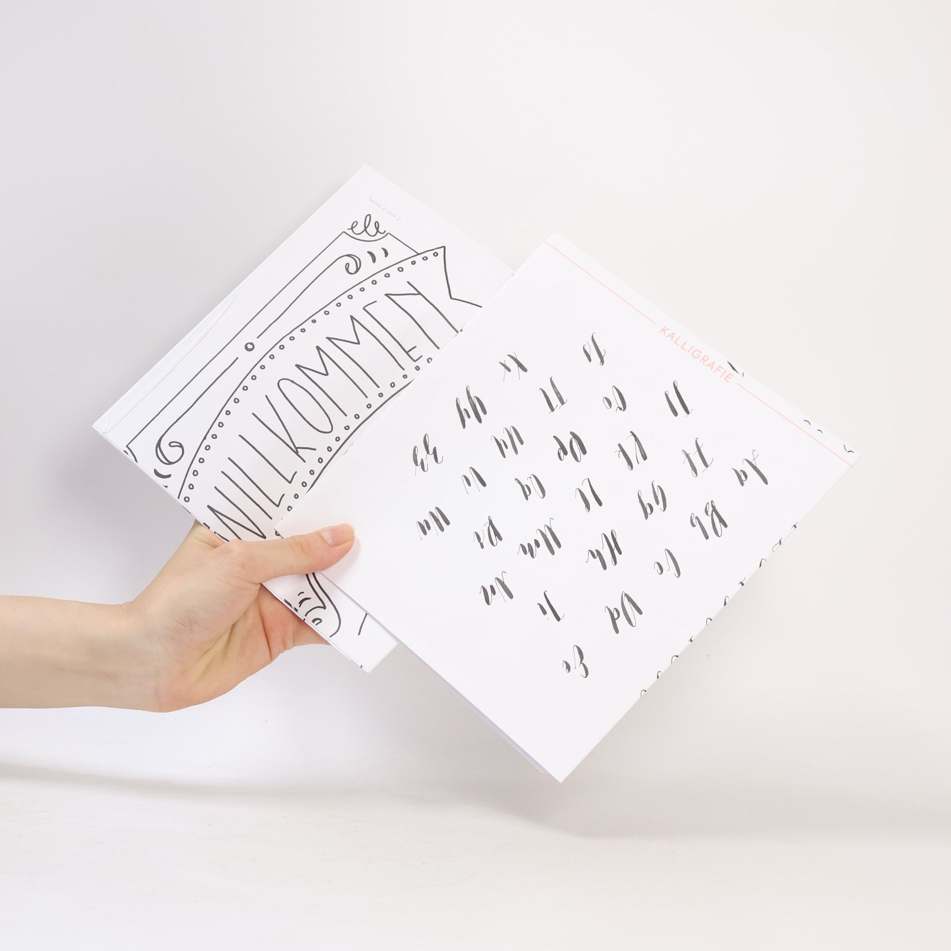 Tanja Cappell Hand Lettering Alphabete. Schritt für schritt zur eigenen Schönschrift