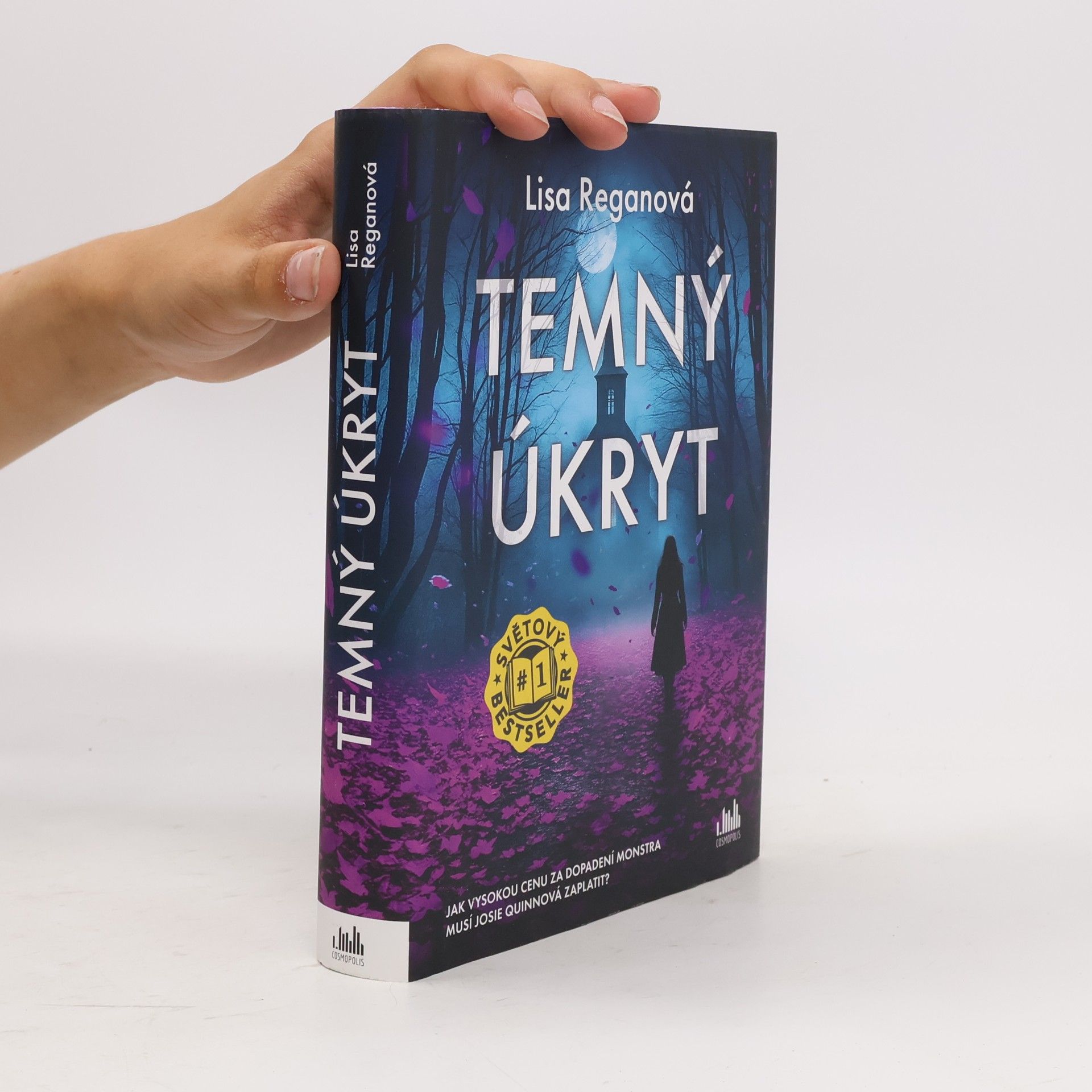 Lisa Regan Temný úkryt