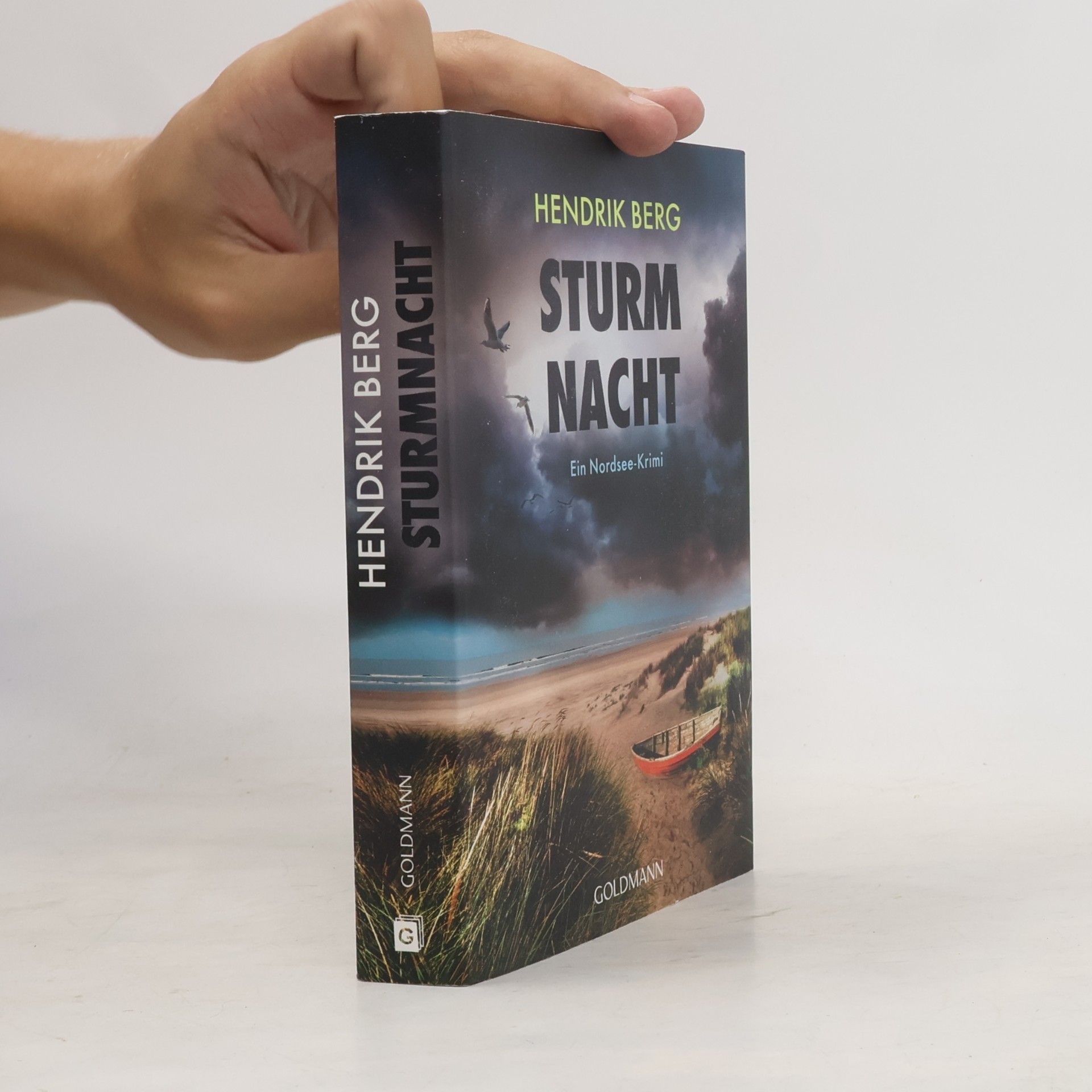Hendrik Berg Sturmnacht