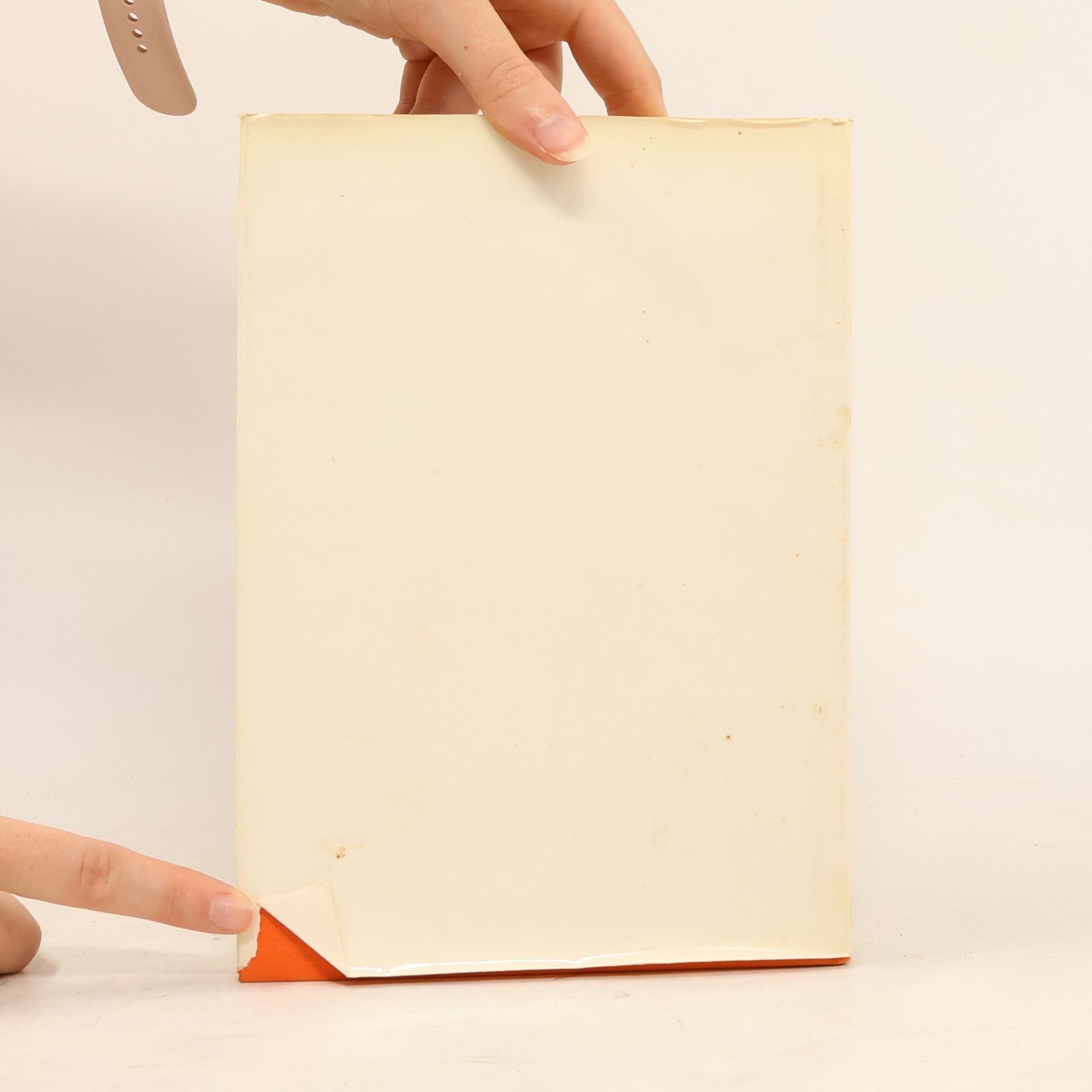 Autorenkollektiv Das große Buch vom Essen