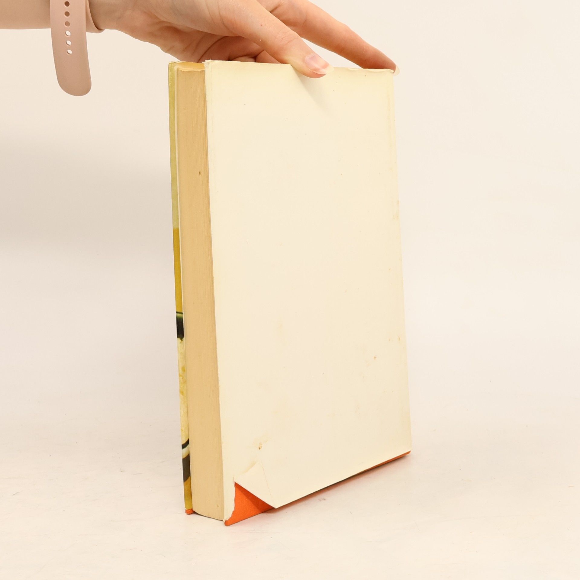 Autorenkollektiv Das große Buch vom Essen
