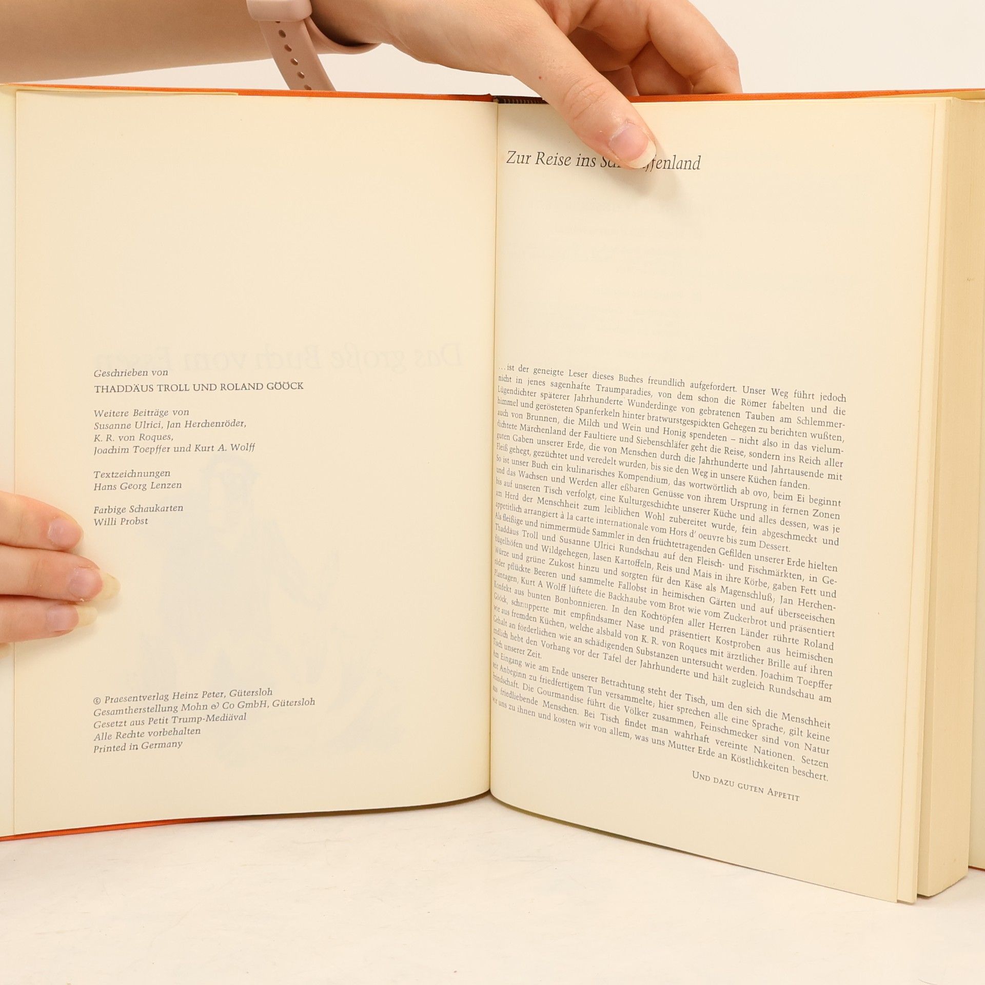Autorenkollektiv Das große Buch vom Essen
