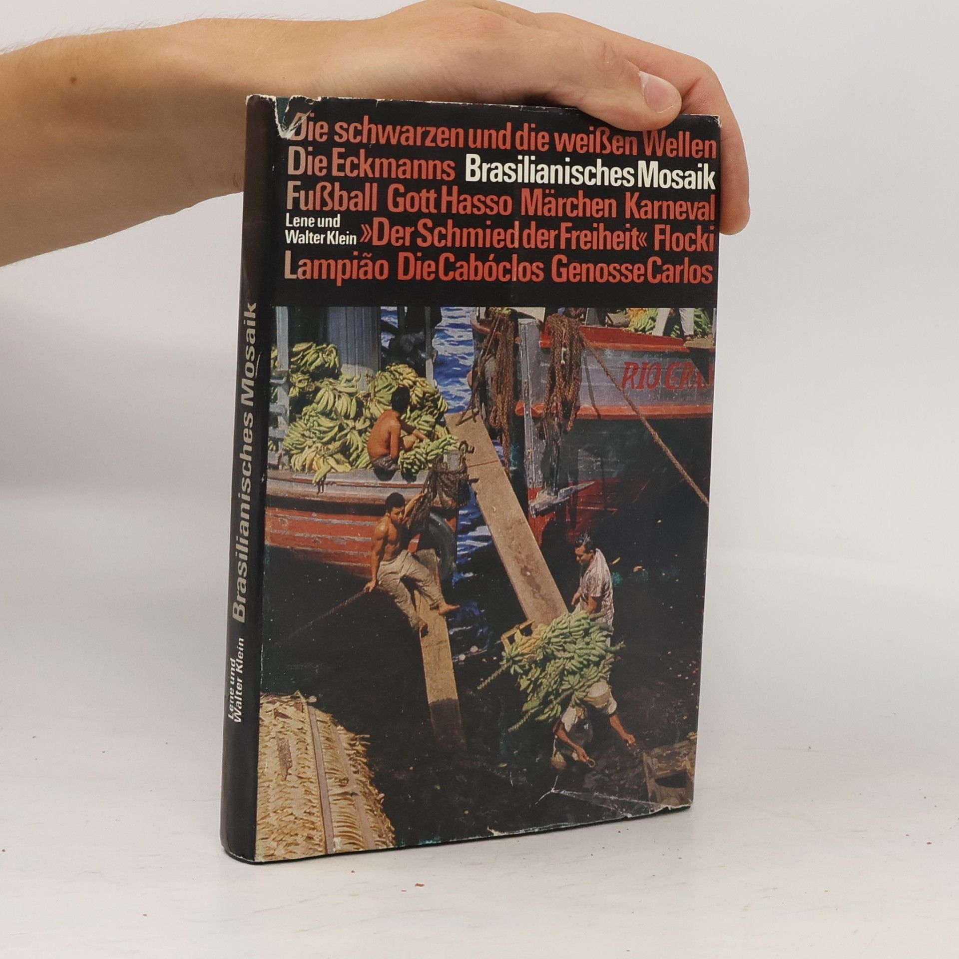 Lene Klein Brasilianisches Mosaik