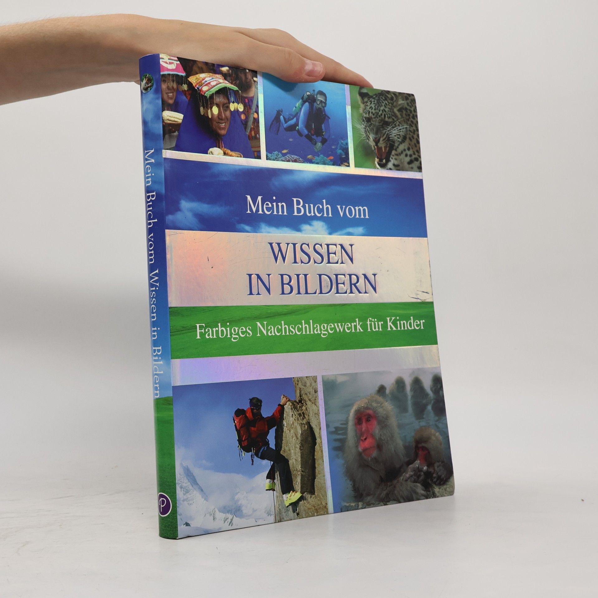 Mein Buch vom Wissen in Bildern
