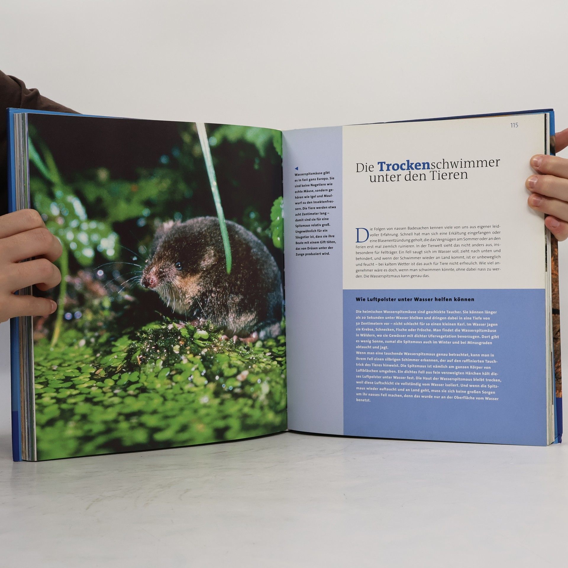 Thomas Klarmeyer Das große Buch der Naturwunder