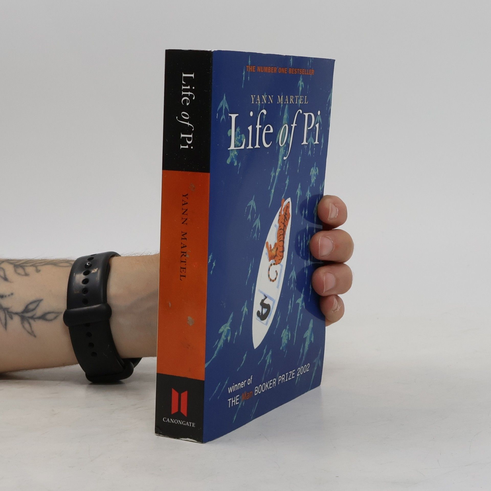 Yann Martel Life of Pi