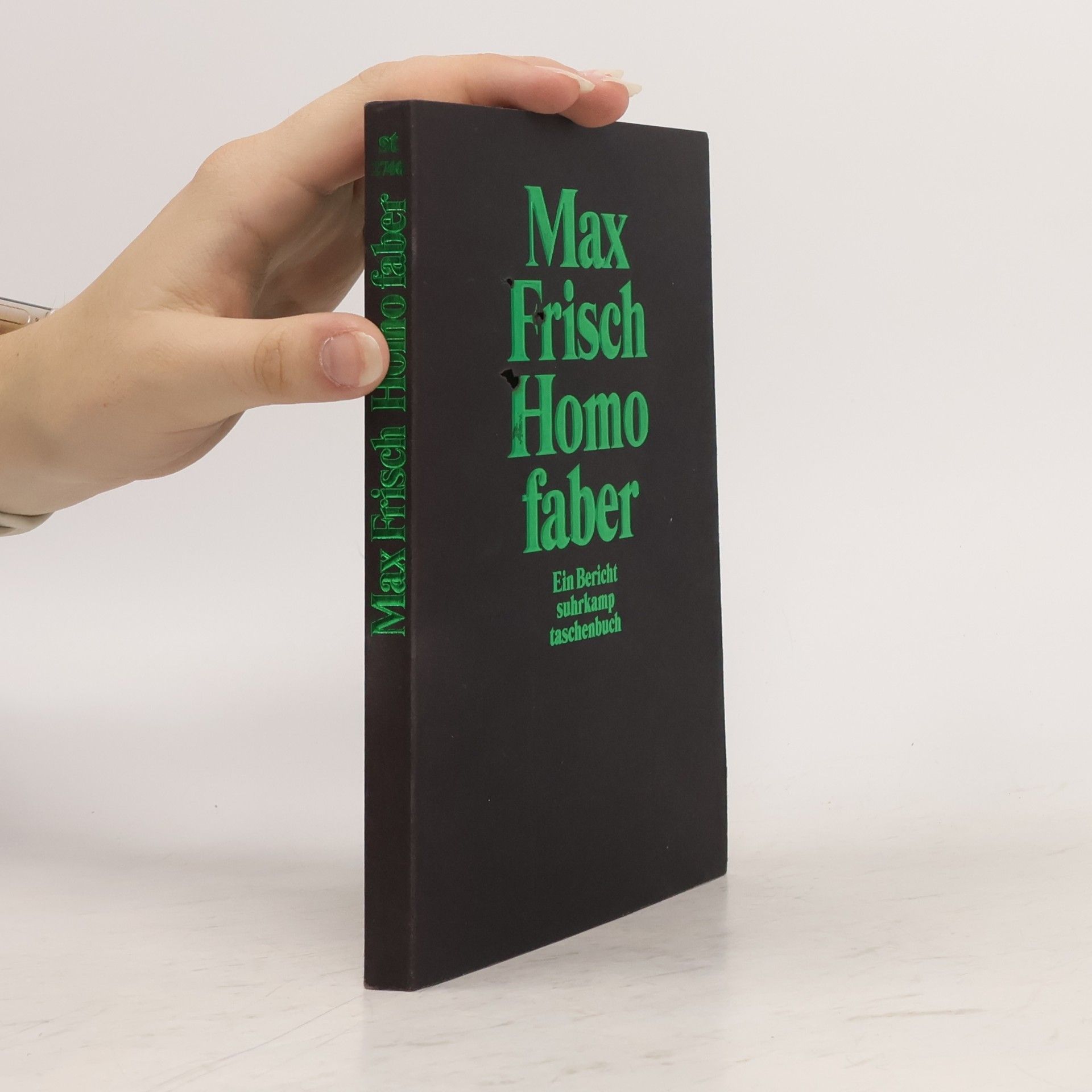 Max Frisch Homofaber