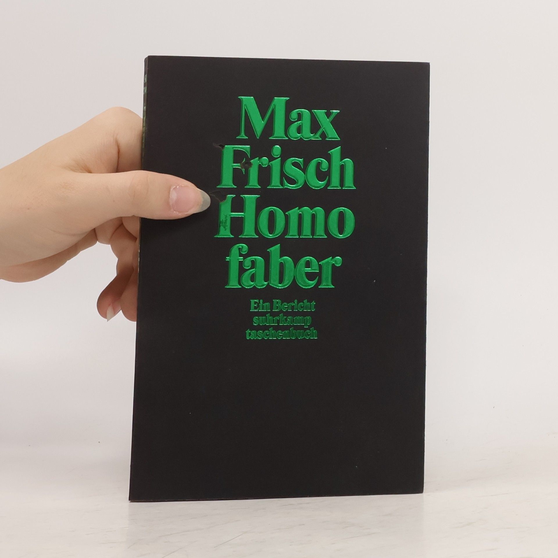 Max Frisch Homofaber