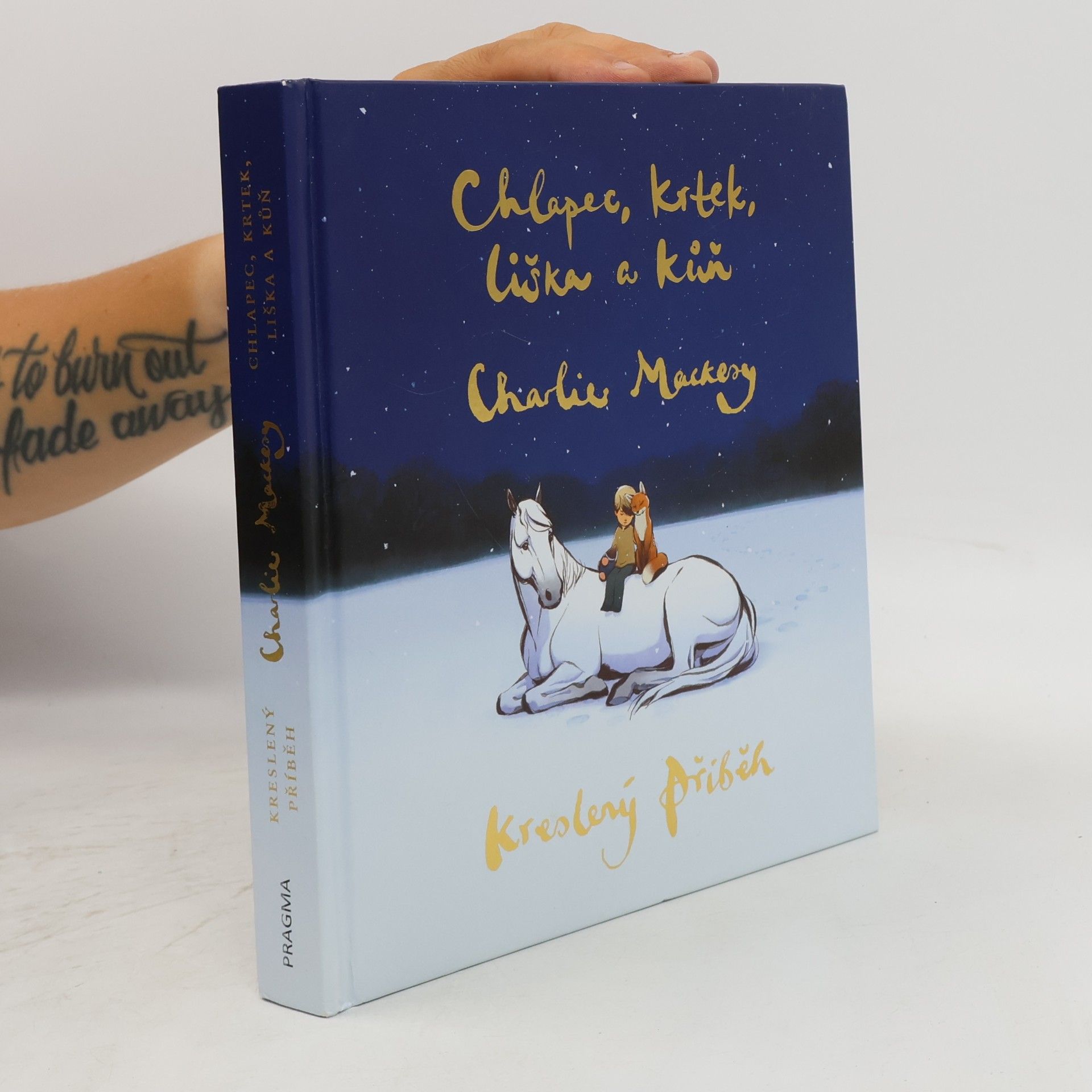 Charlie Mackesy Chlapec, krtek, liška a kůň : kreslený příběh