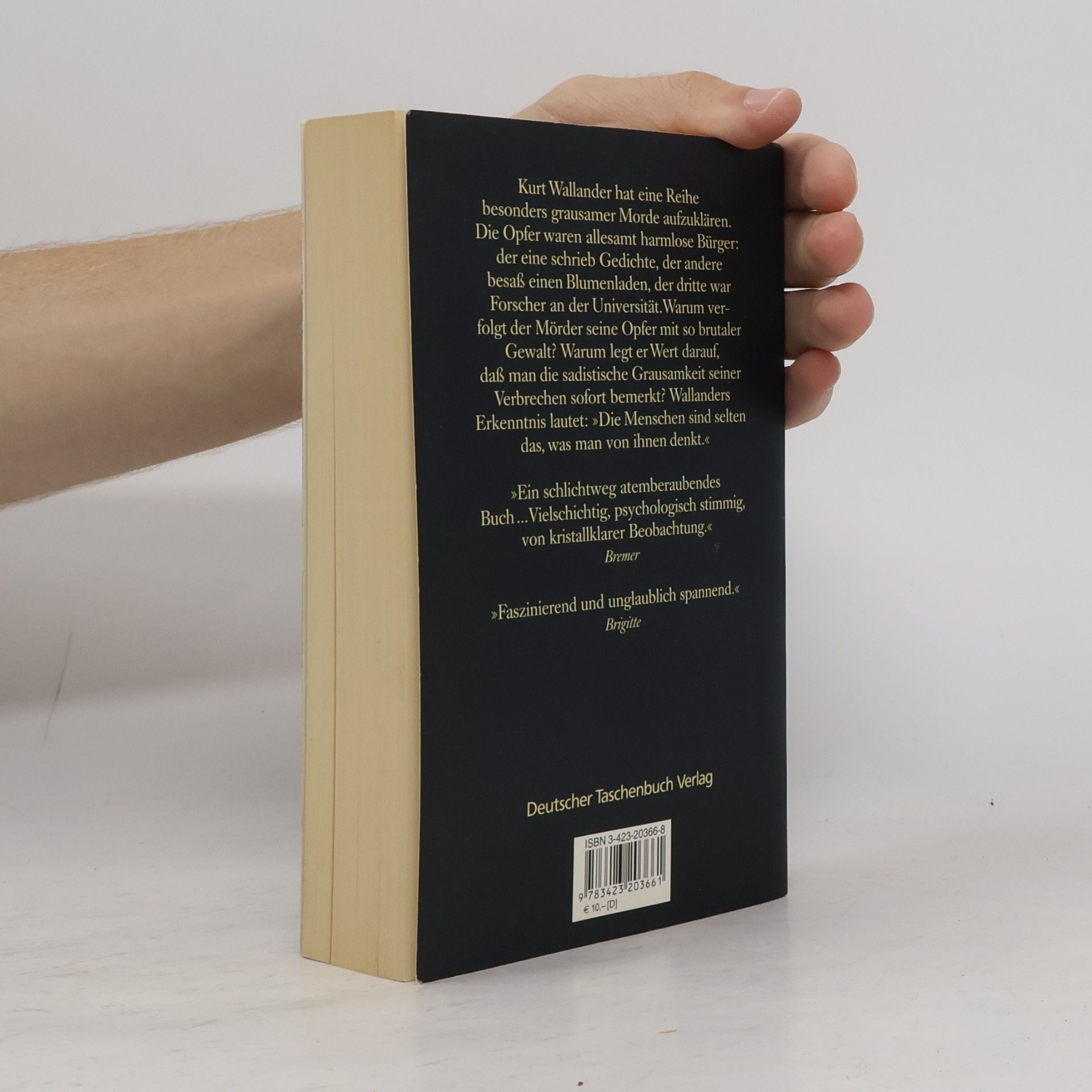 Henning Mankell Die fünfte Frau
