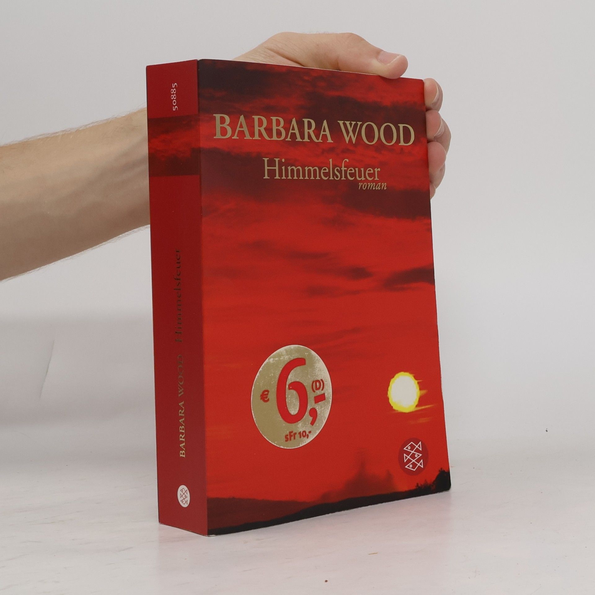 Barbara Wood Himmelsfeuer