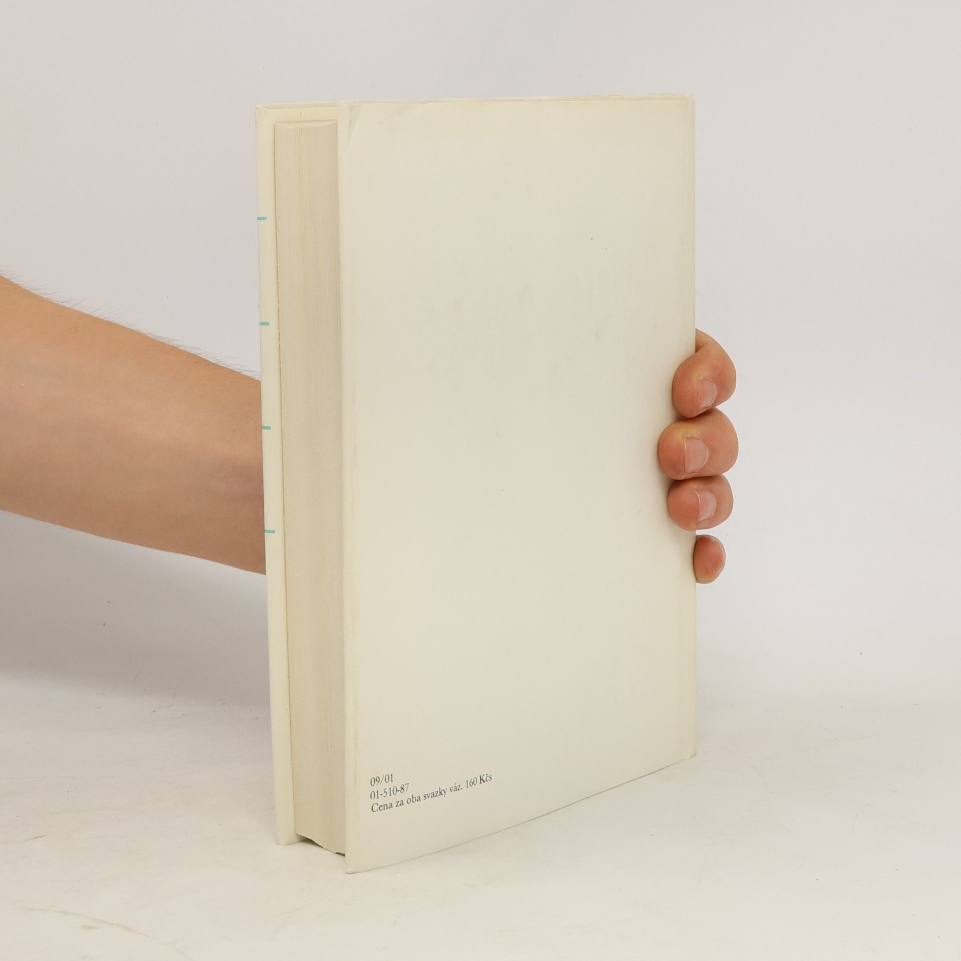 Autores varios Kapitoly z českého dějepisu umění, díl 2., Dvacáté století
