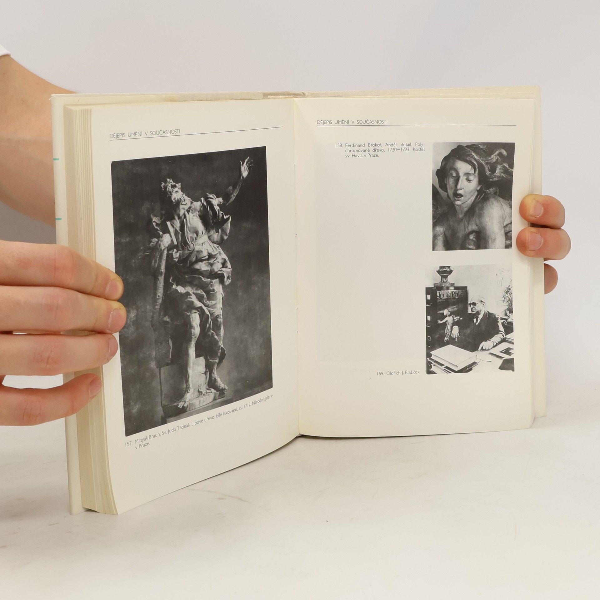 Autores varios Kapitoly z českého dějepisu umění, díl 2., Dvacáté století
