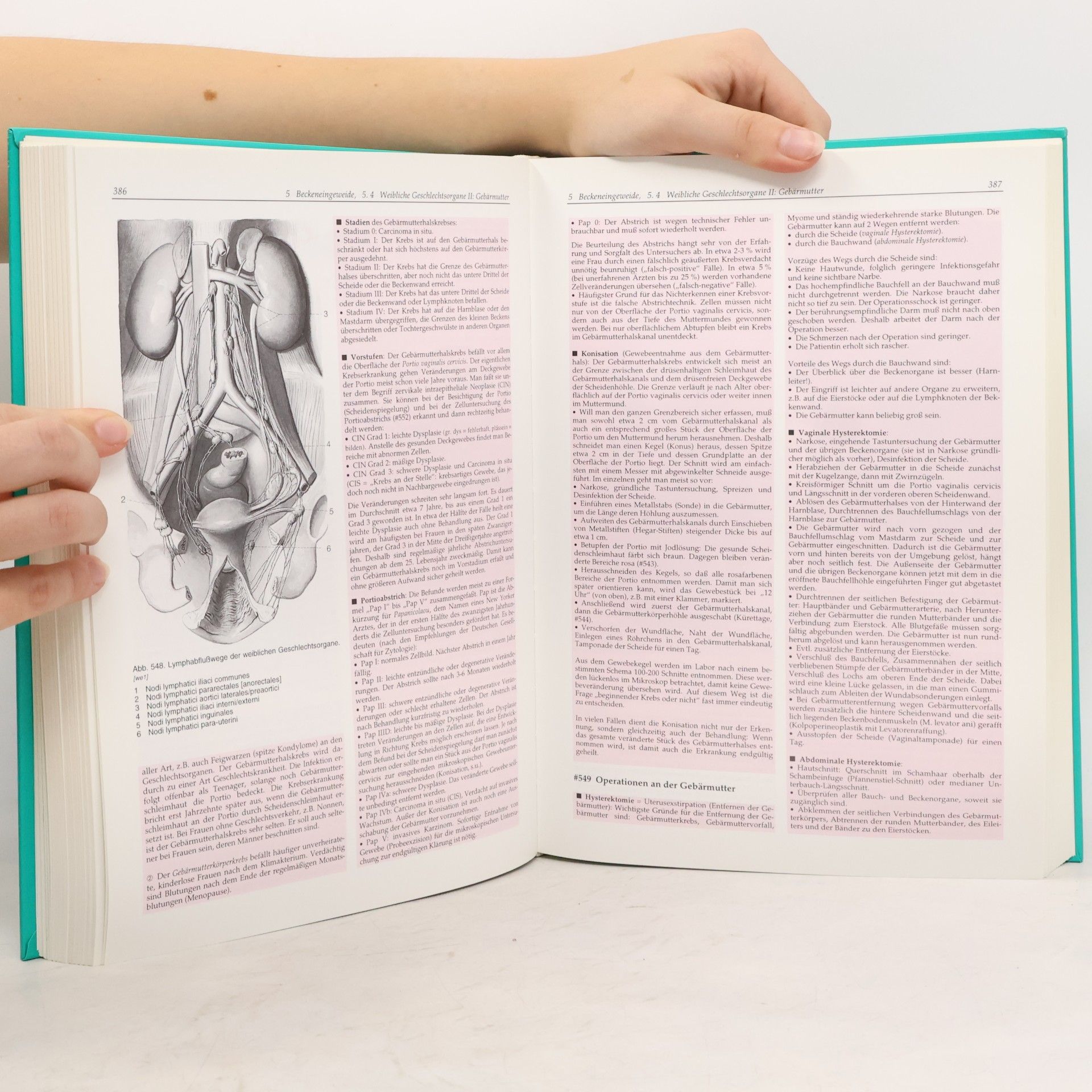 Herbert Lippert Lehrbuch Anatomie