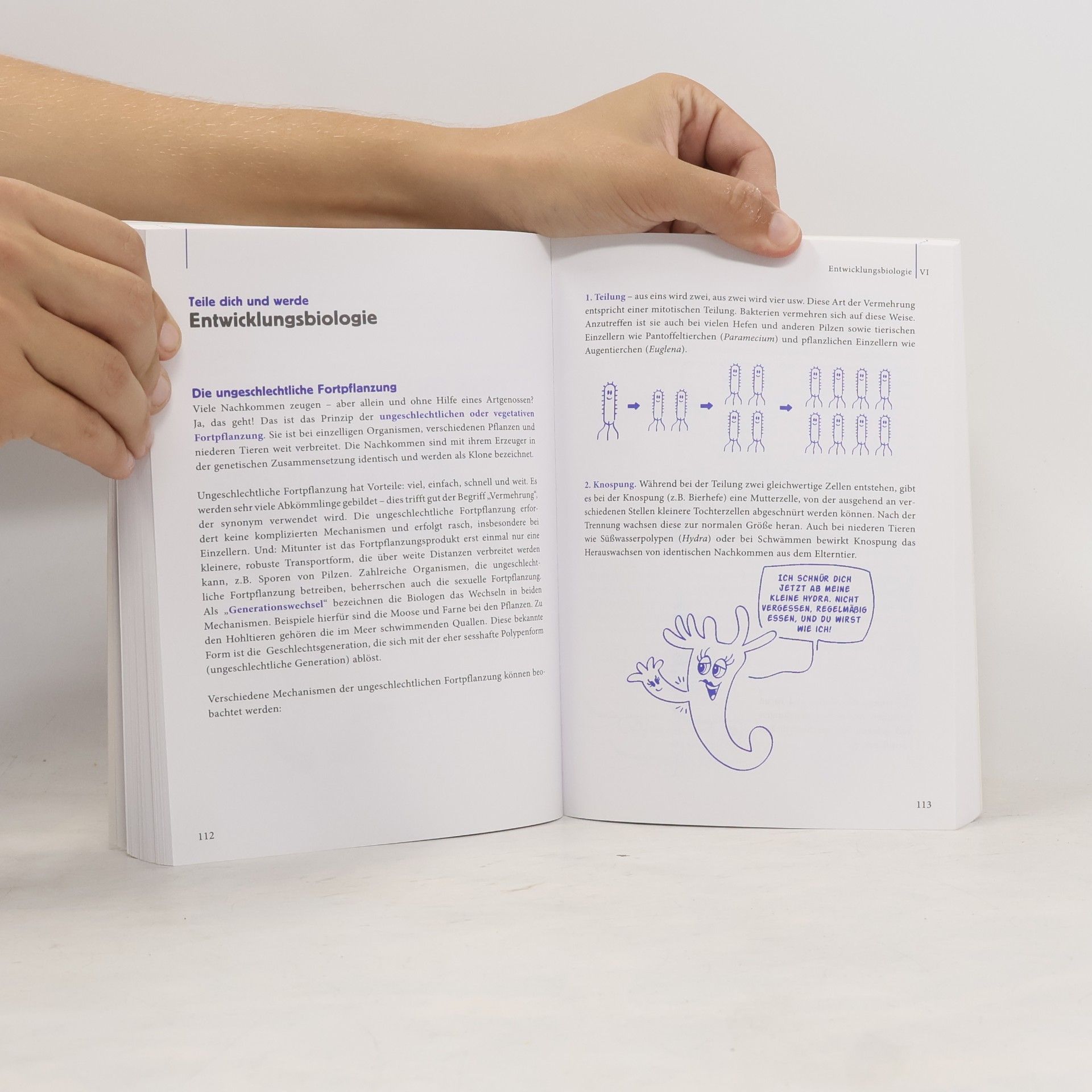 Norbert Waldemar Hopf Pearson Studium - Scientific Tools: Biologie macchiato
