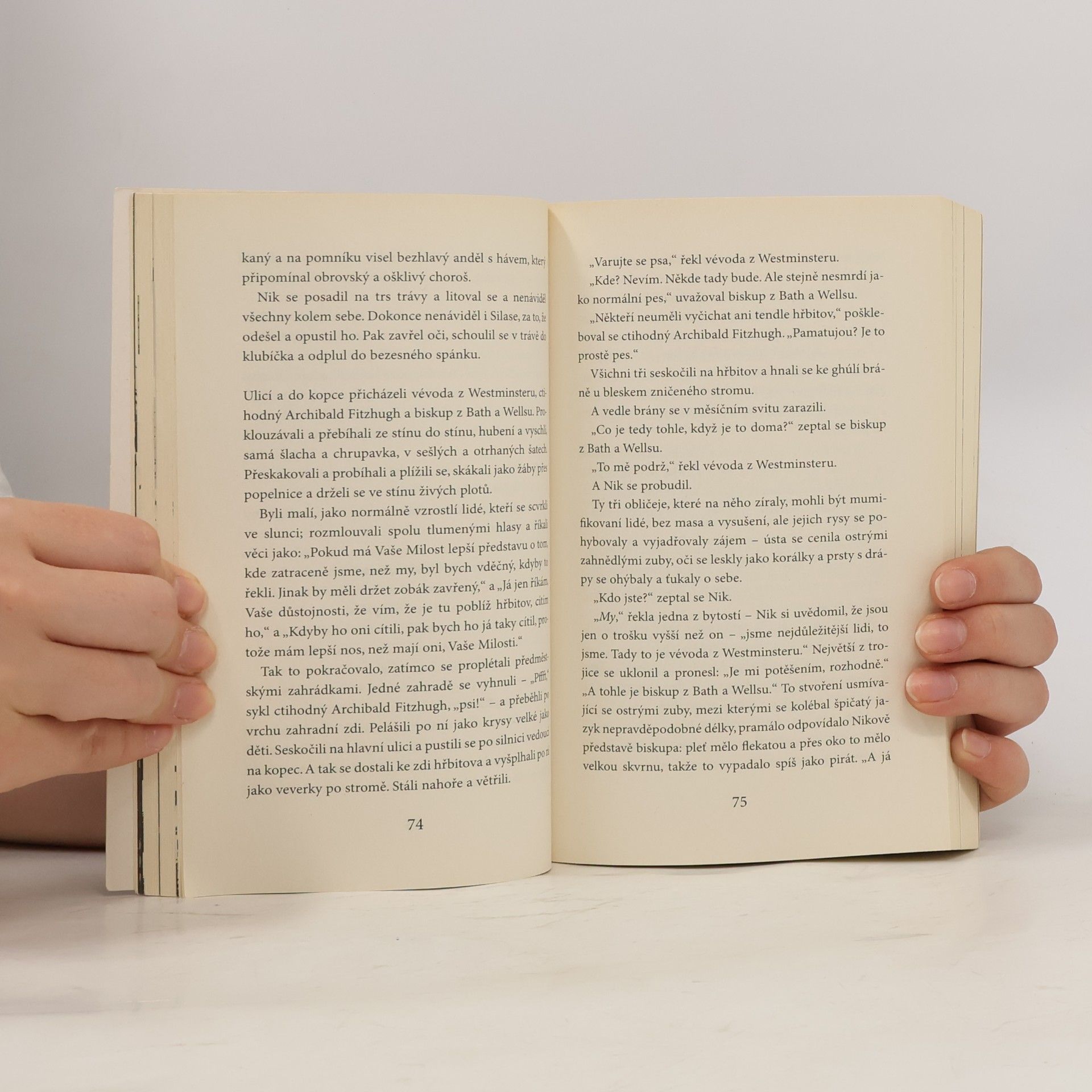 Neil Gaiman Kniha hřbitova