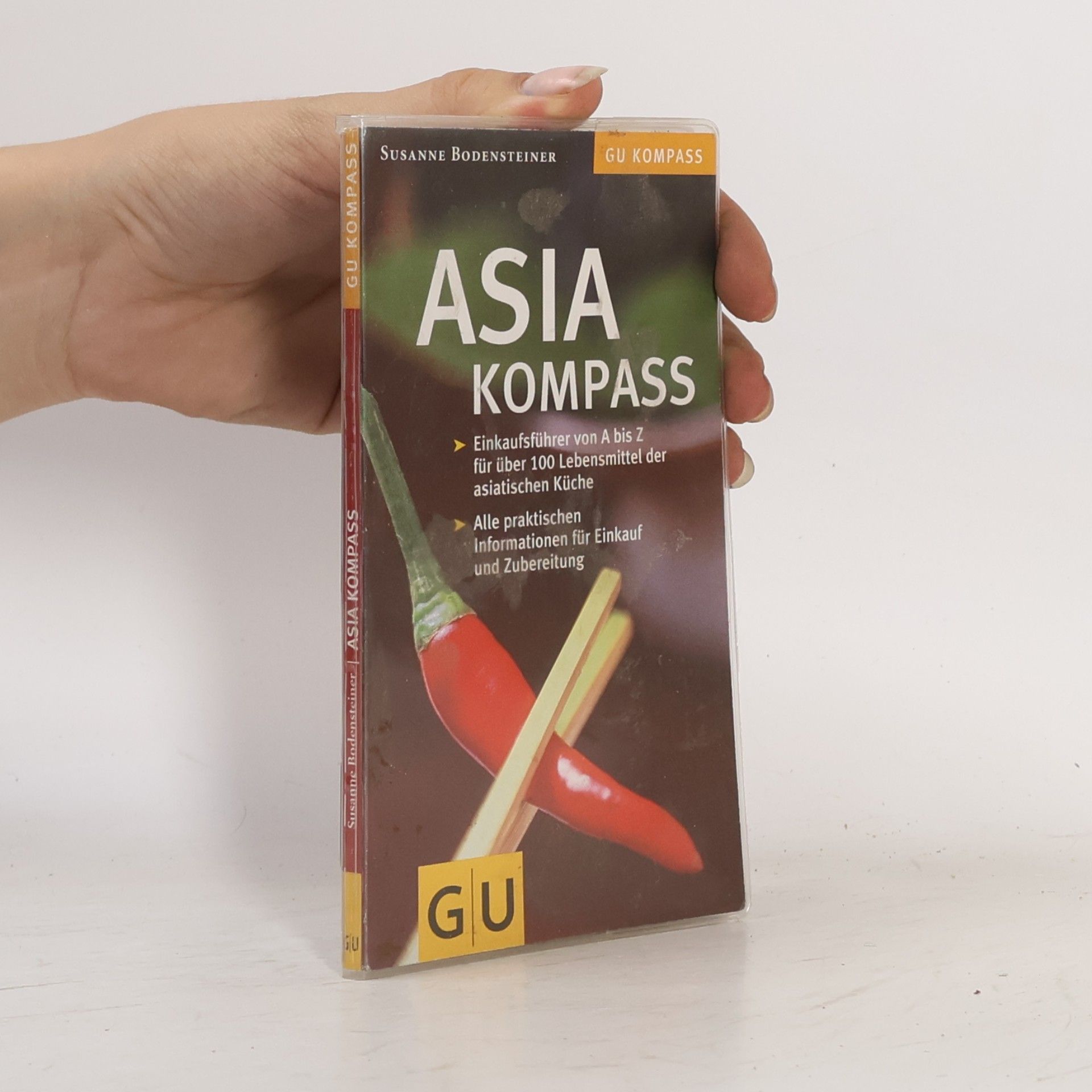 Susanne Bodensteiner Asia-Kompass