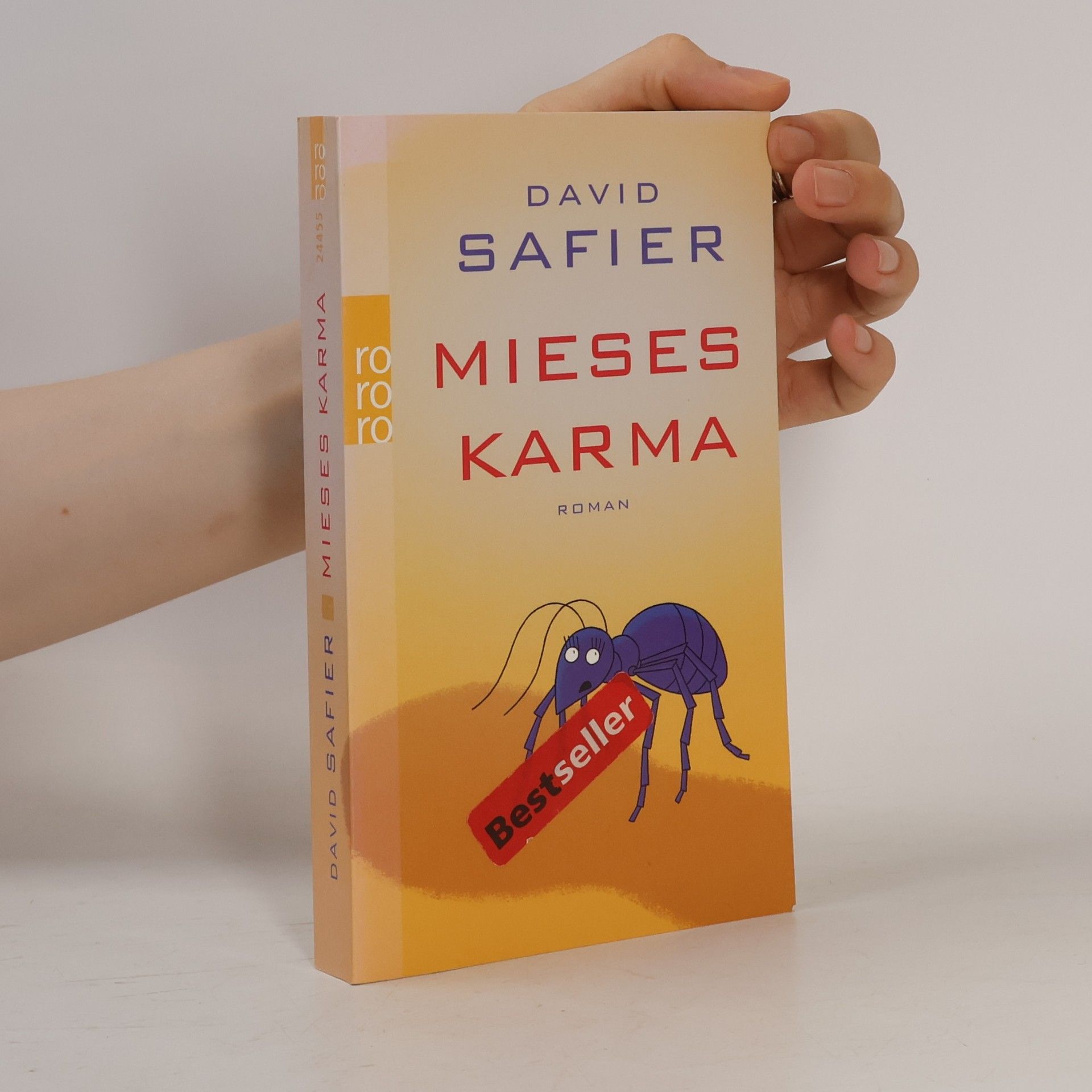David Safier Mieses Karma