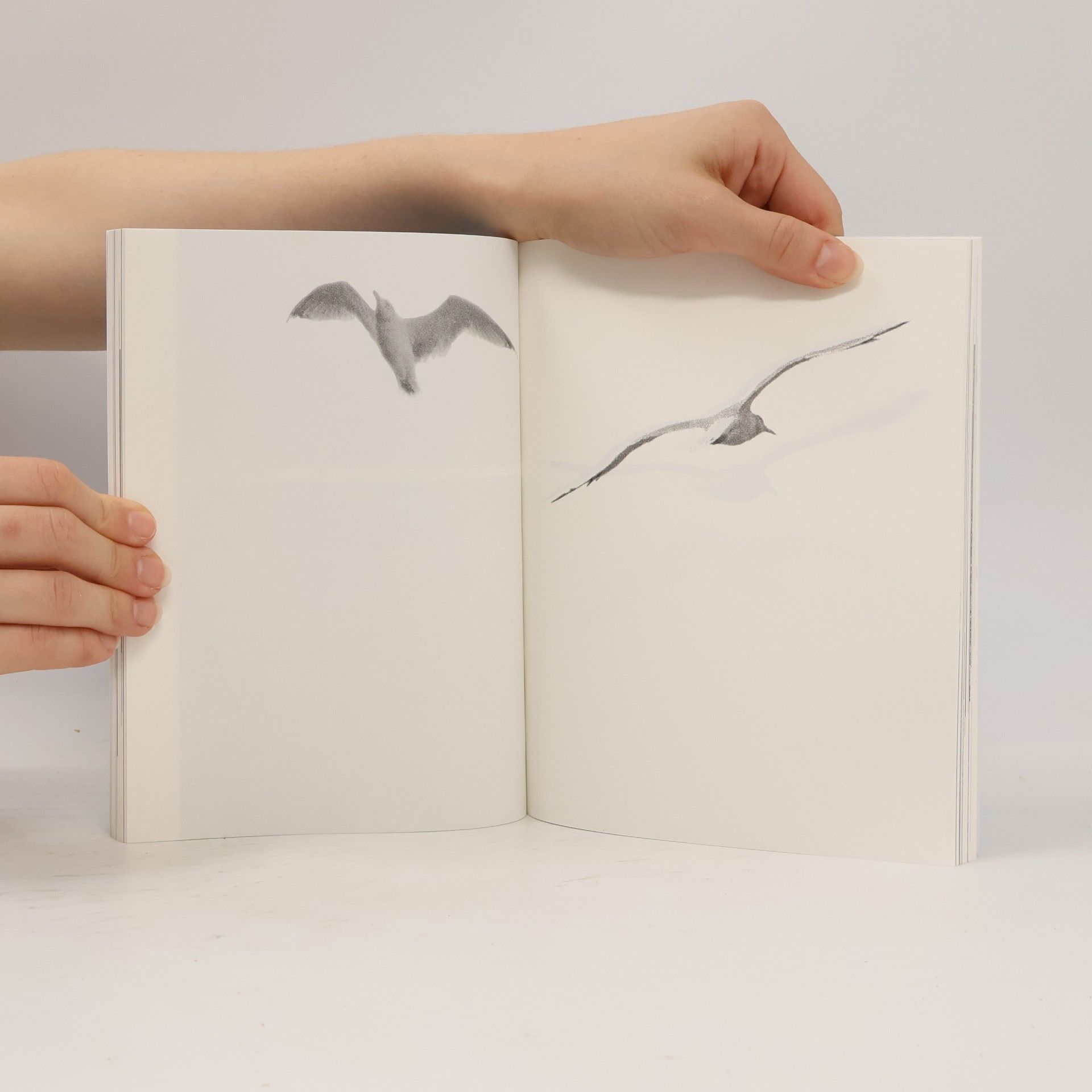 Richard Bach Jonathan Livingston Seagull: The Complete Edition