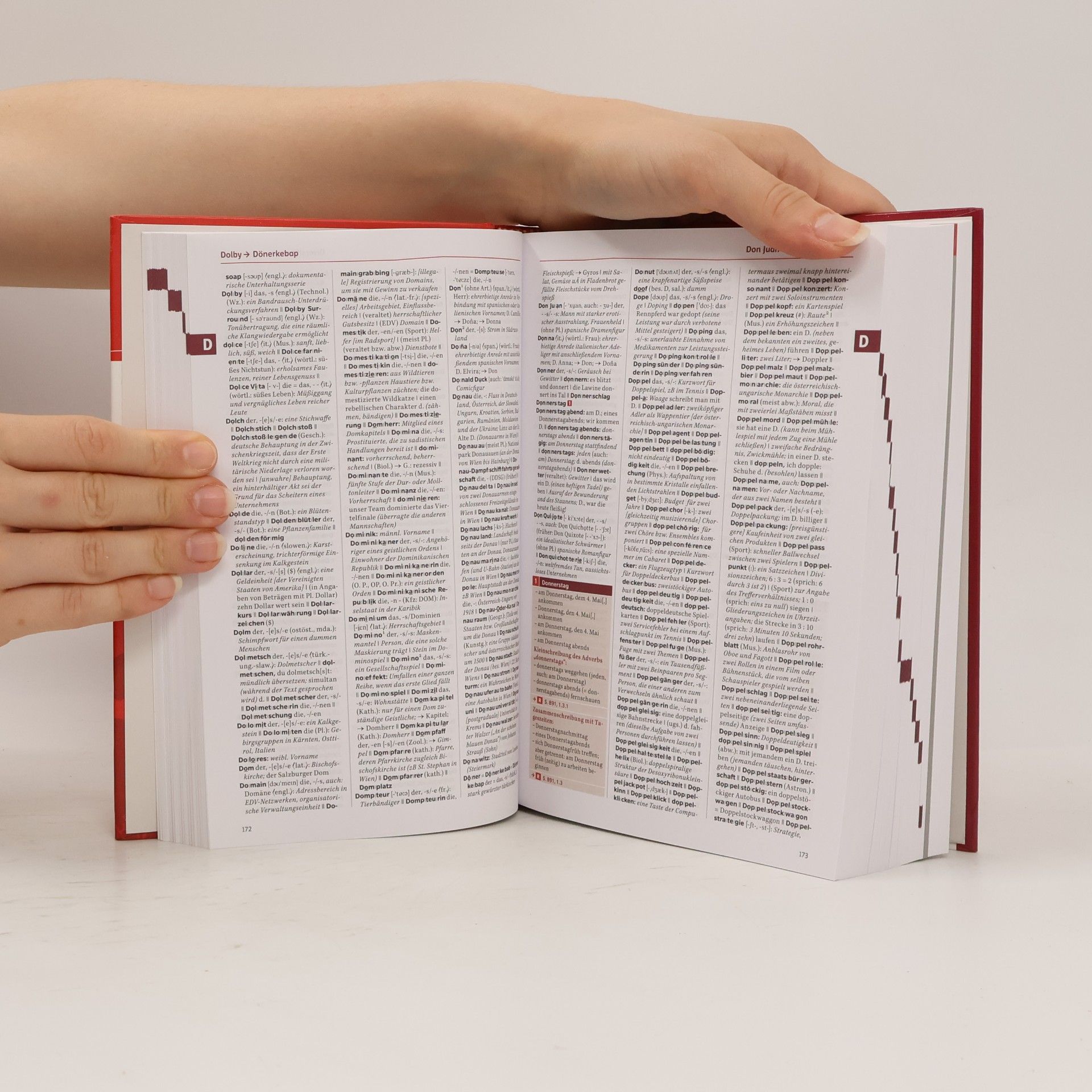 Kolektiv autorů Österreichisches Wörterbuch 43. Auflage