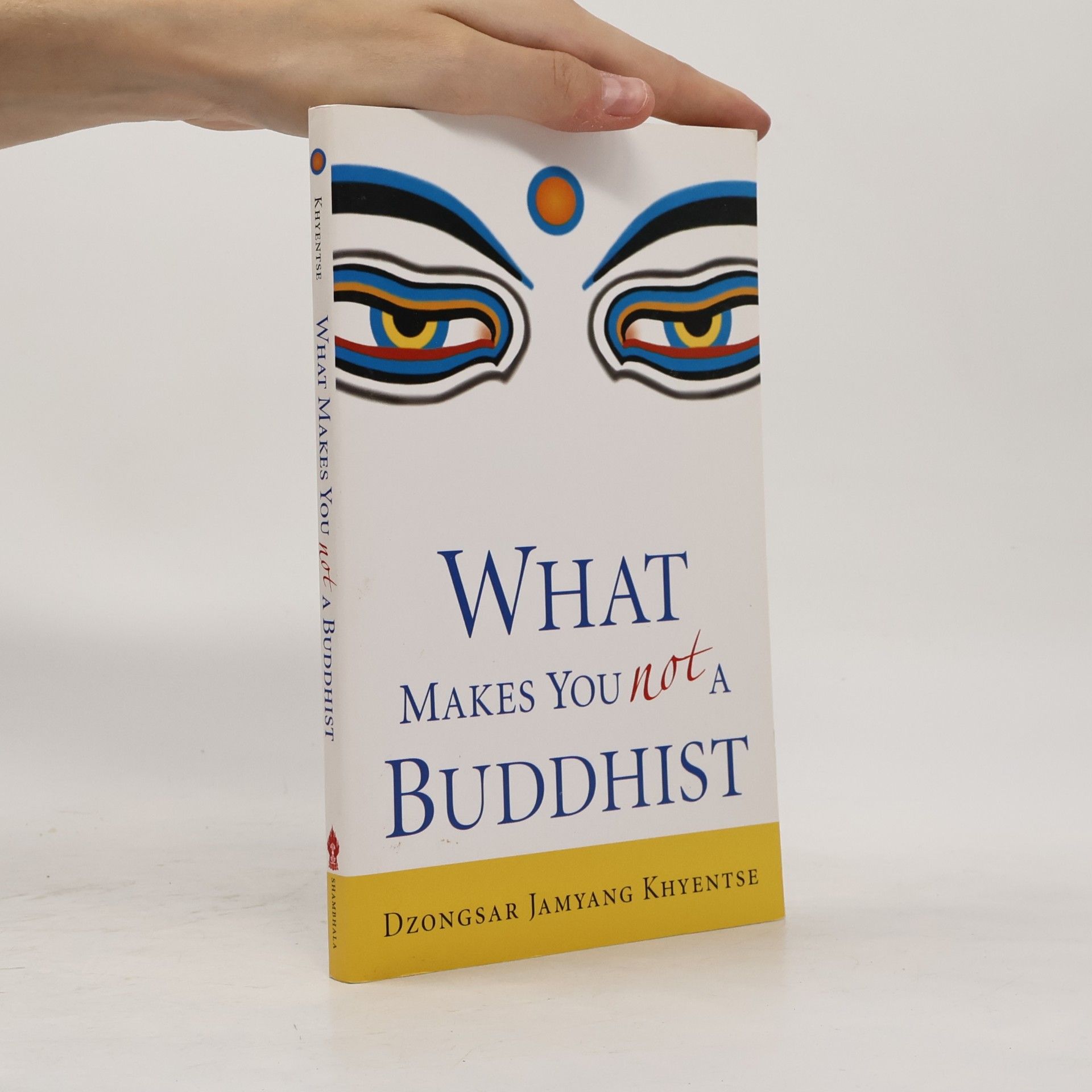 Dzongsar Jamyang Khyentse Rinpoche What Makes You Not a Buddhist
