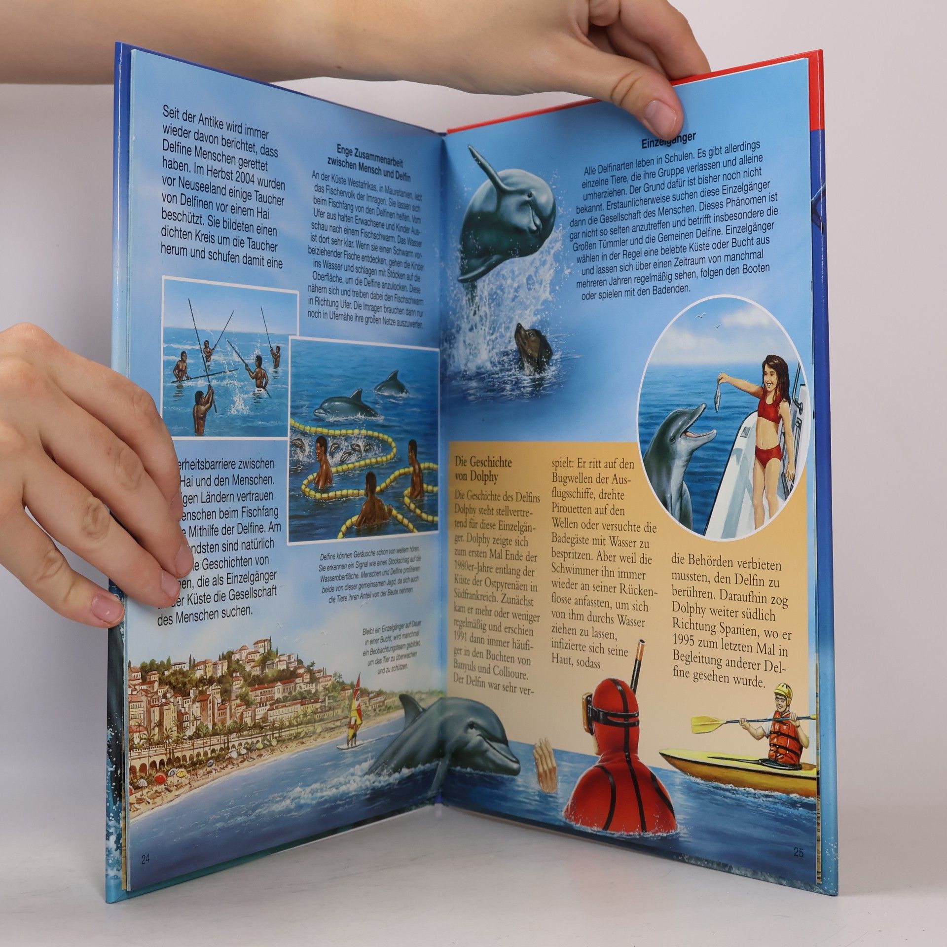 Autorenkollektiv Bunte Wissenwelt für Kinder. Delfine