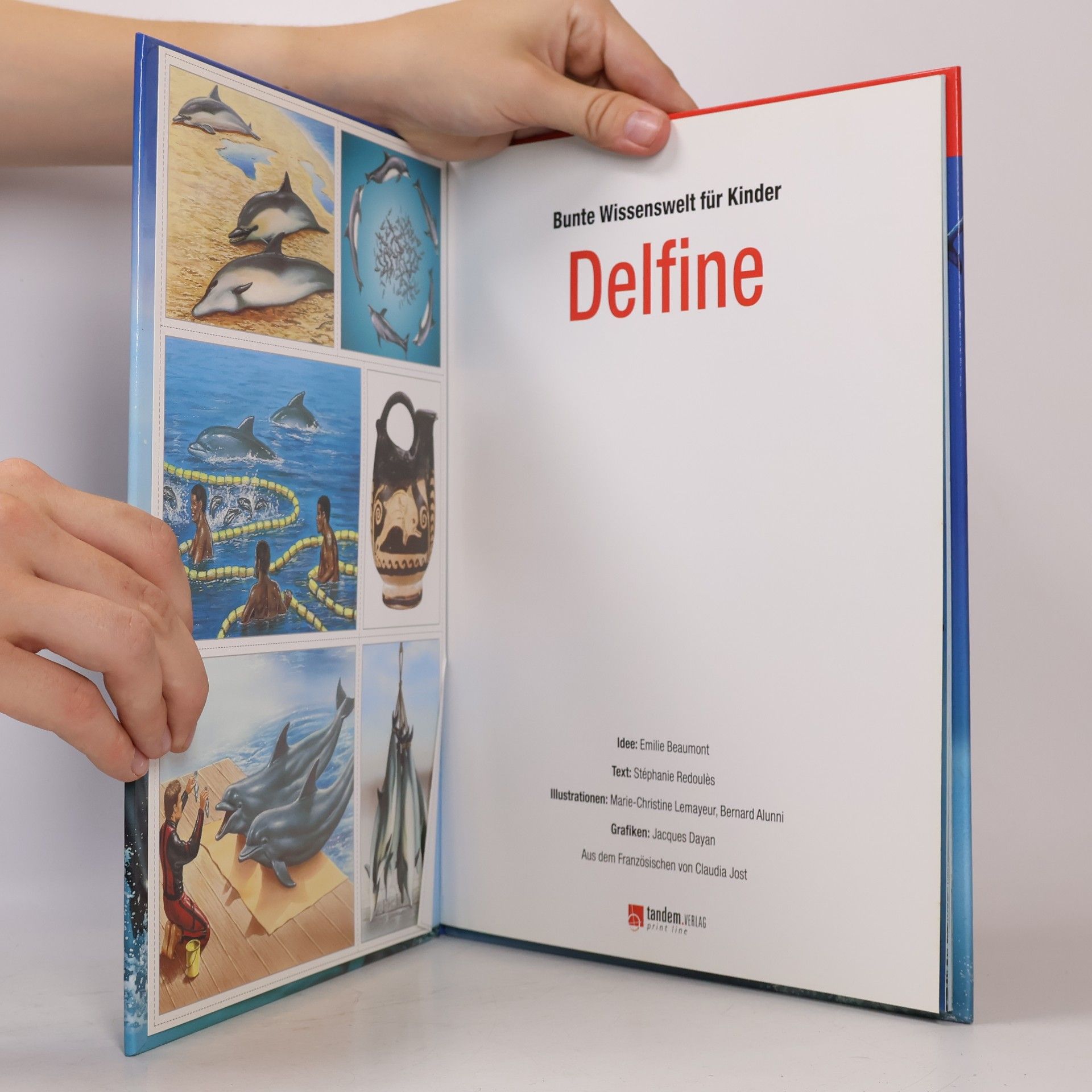 Autorenkollektiv Bunte Wissenwelt für Kinder. Delfine