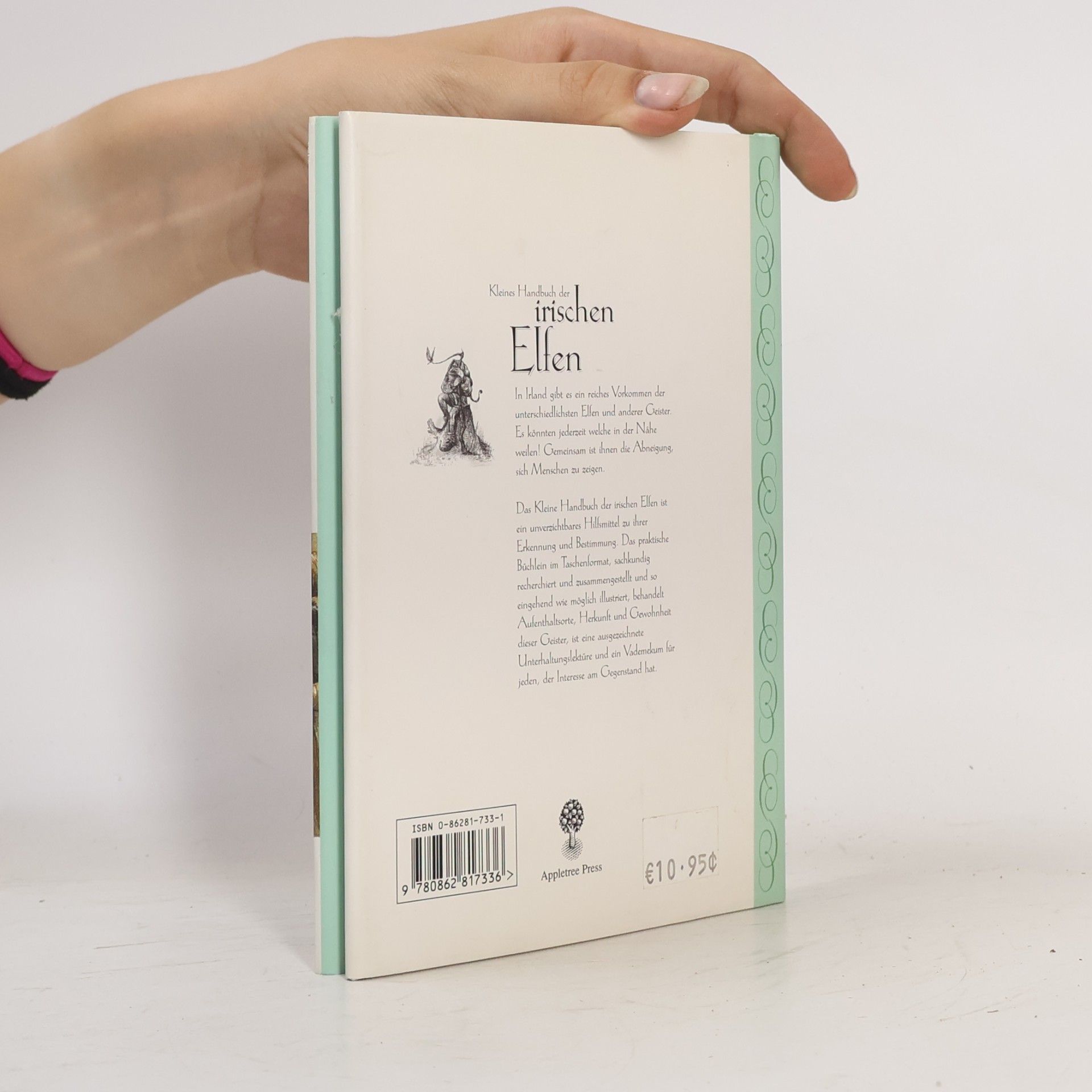 Bob Curran Kleines Handbuch der irischen Elfen