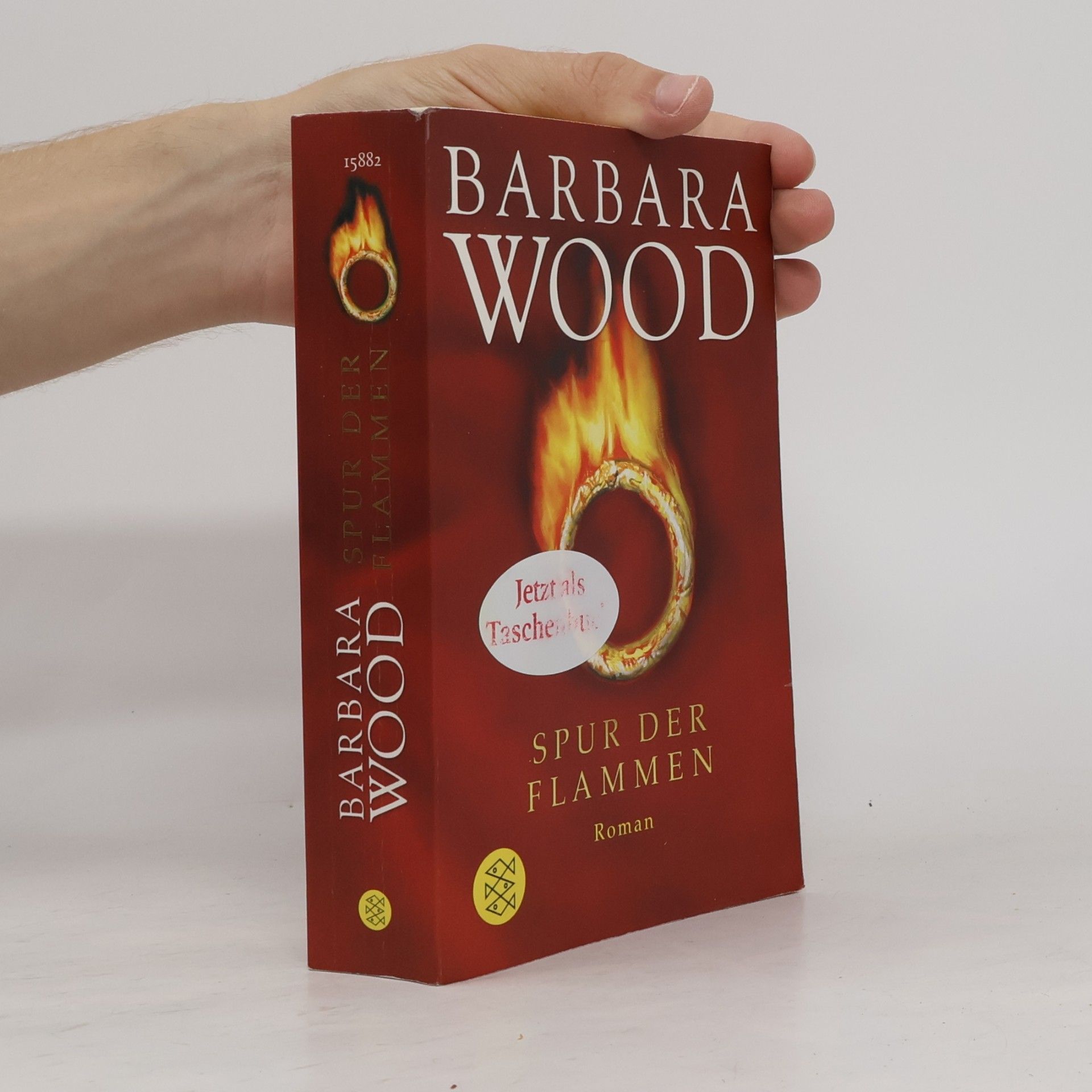 Barbara Wood Spur der Flammen
