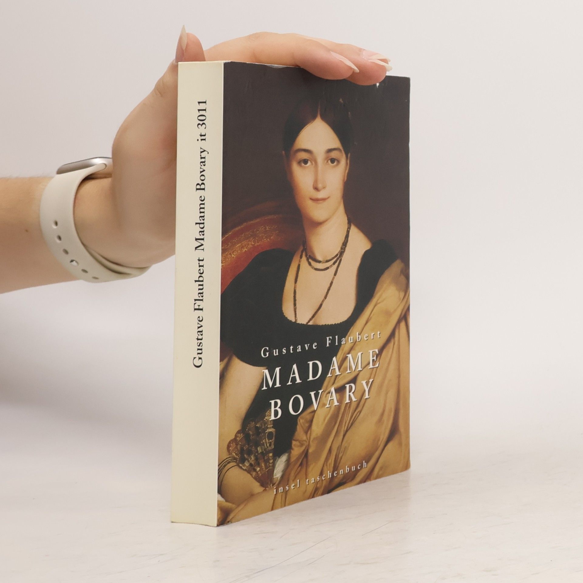 Gustave Flaubert Madame Bovary
