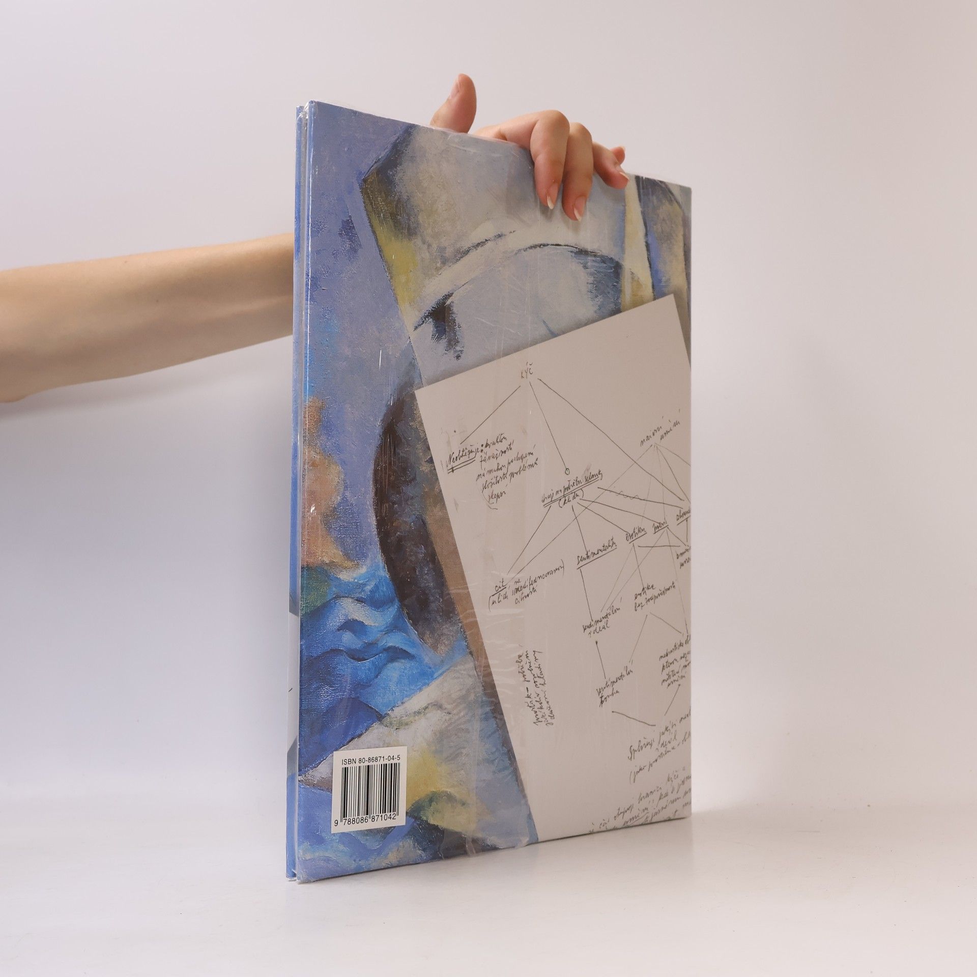 Jánuš Kubíček Jánuš Kubíček : the dramatic interspace (excerpts)